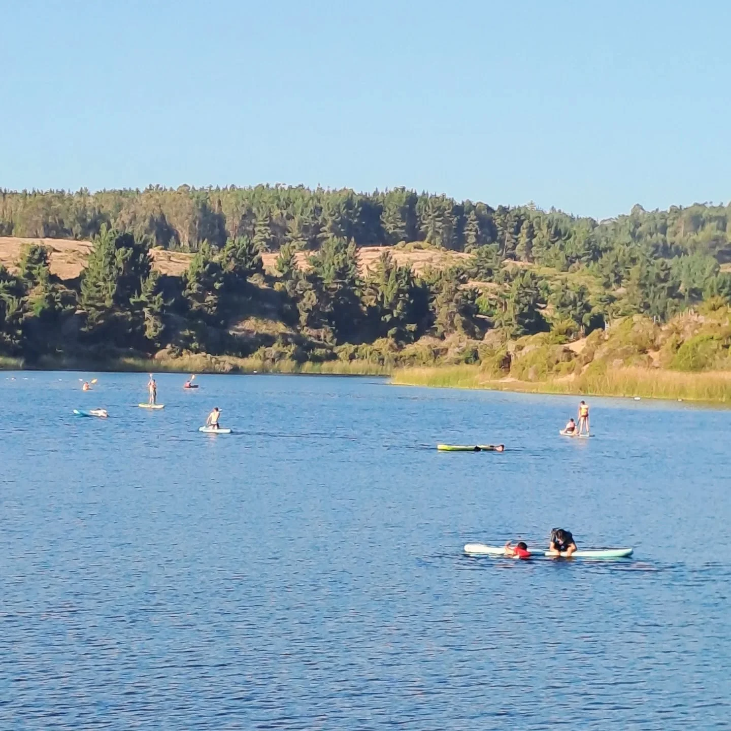 OUTDOORS 🌞🌳🦢