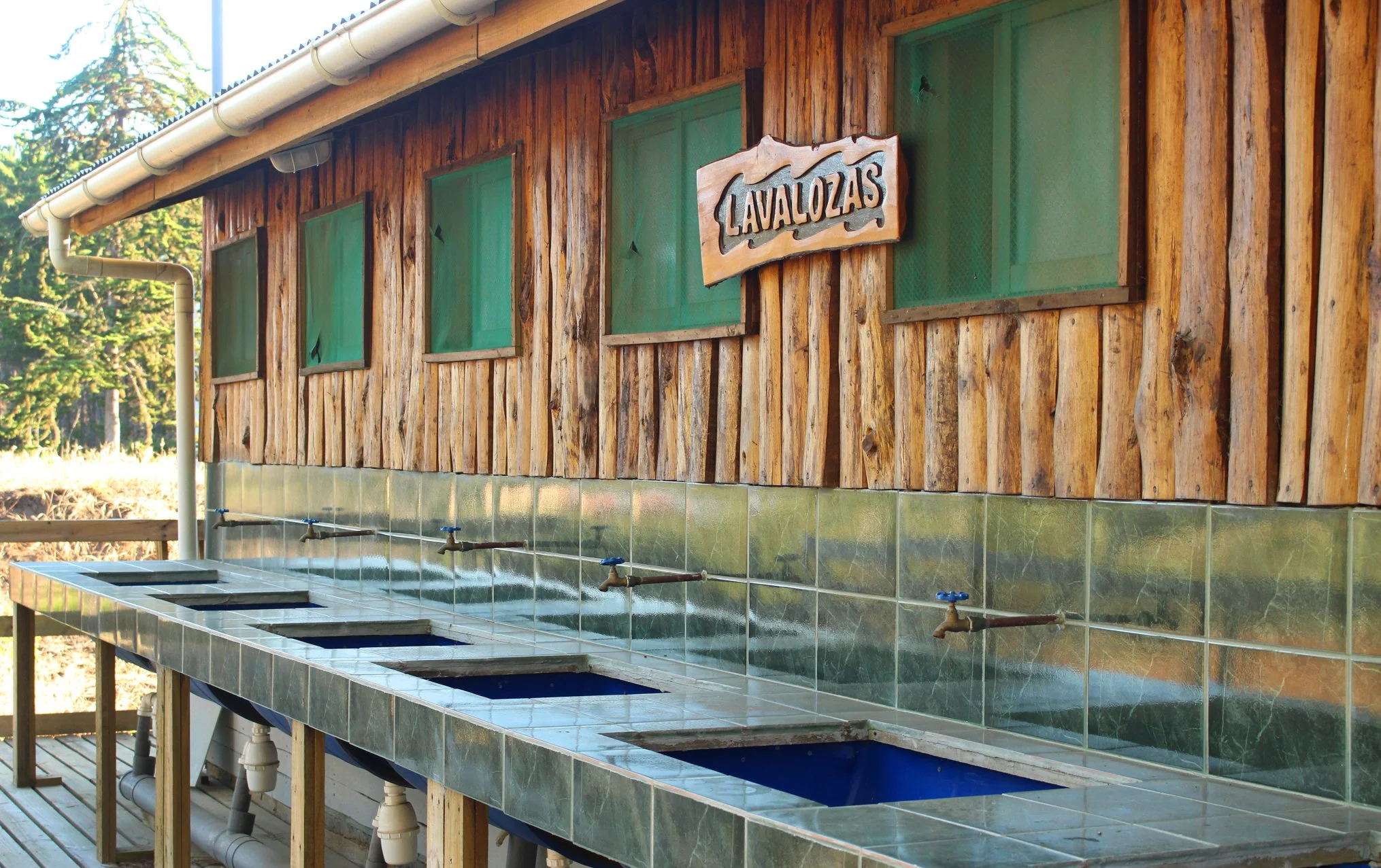 Lavabos con siete tinas azules debajo de una estructura de madera con ventanas verdes y un letrero que dice "Cavalozas".