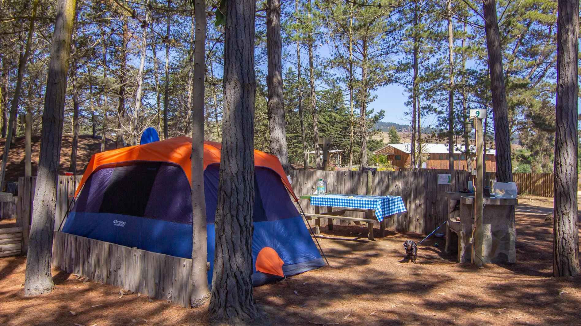 Área de camping con una tienda de campaña azul y naranja, mesa con mantel a cuadros y una tetera, en medio de un bosque con árboles y cercas de madera.