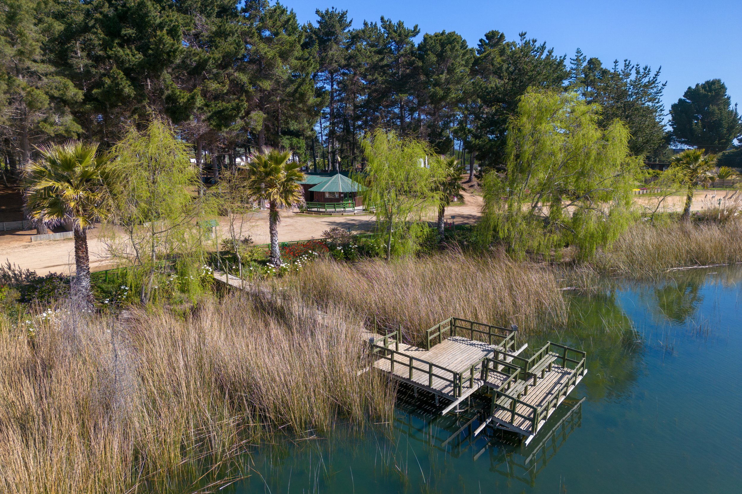 Vista de un parque con un muelle de madera sobre un lago, rodeado de juncos y árboles, con un área de picnic y senderos, en un día soleado y despejado.
