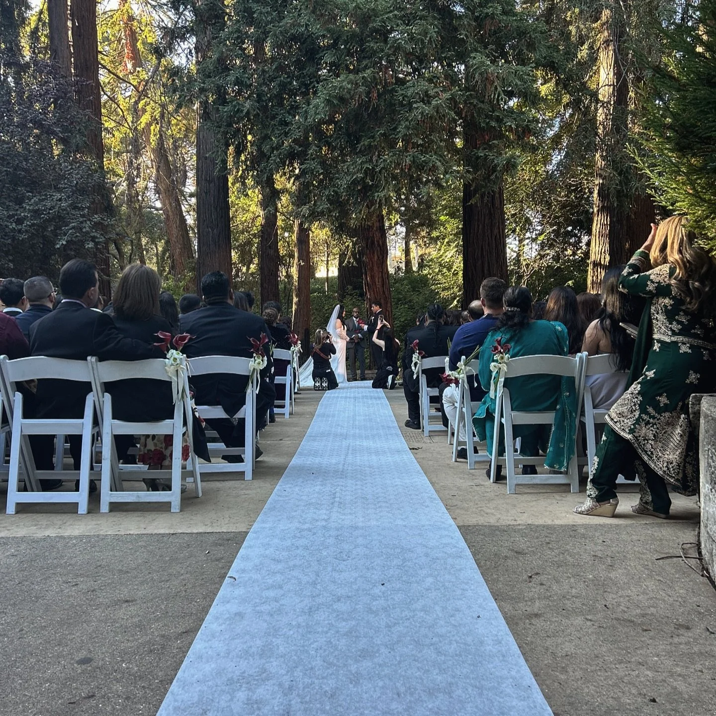 Getting you down the aisle is my job. 

Being present among the trees is yours. 
*
*
*
#weddingdaymanagement #sanfranciscowedding #bayareabride #bayareawedding #eventmanagement