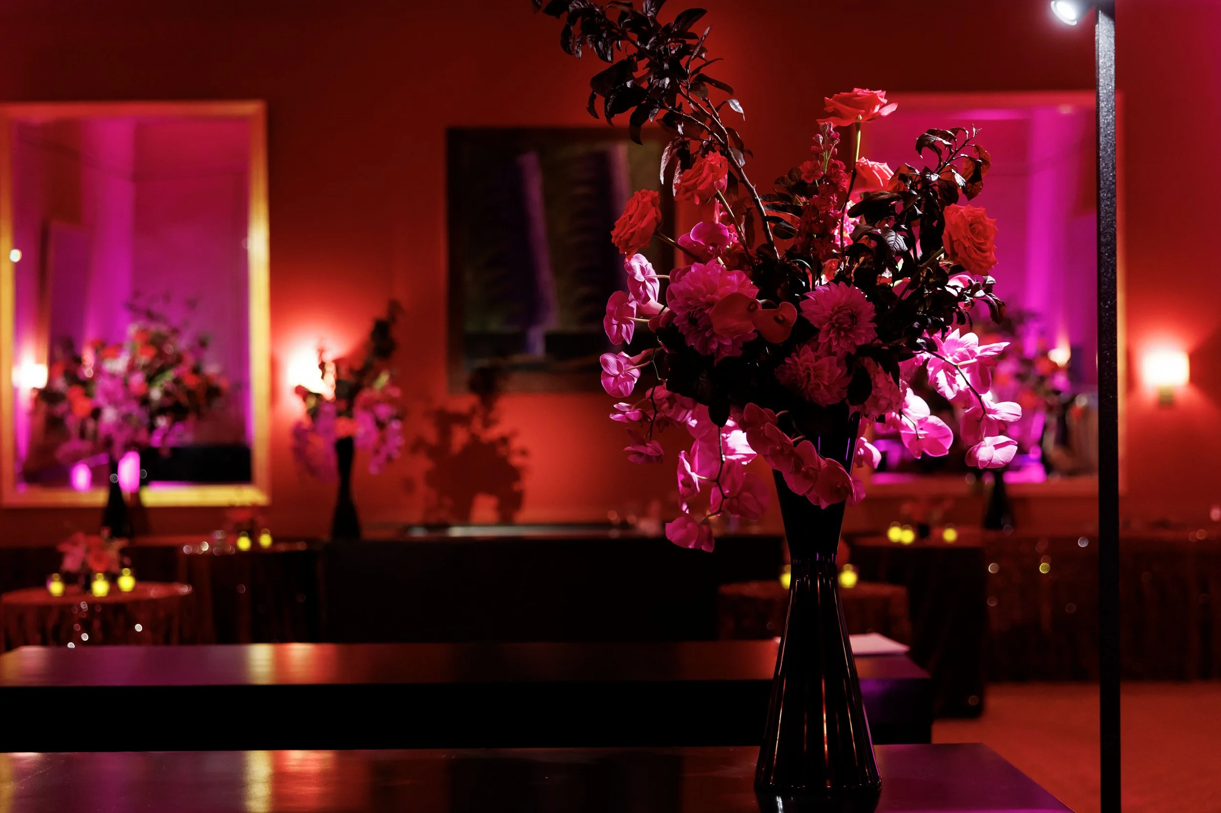 90572-symphonygala-250912.jpg
