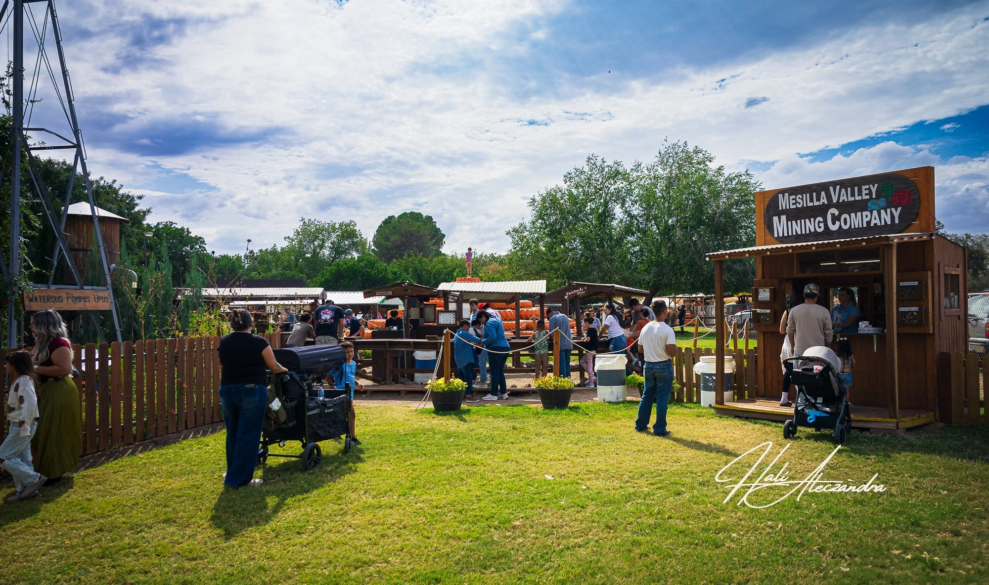 Pumpkin Patch 2025-1.jpg