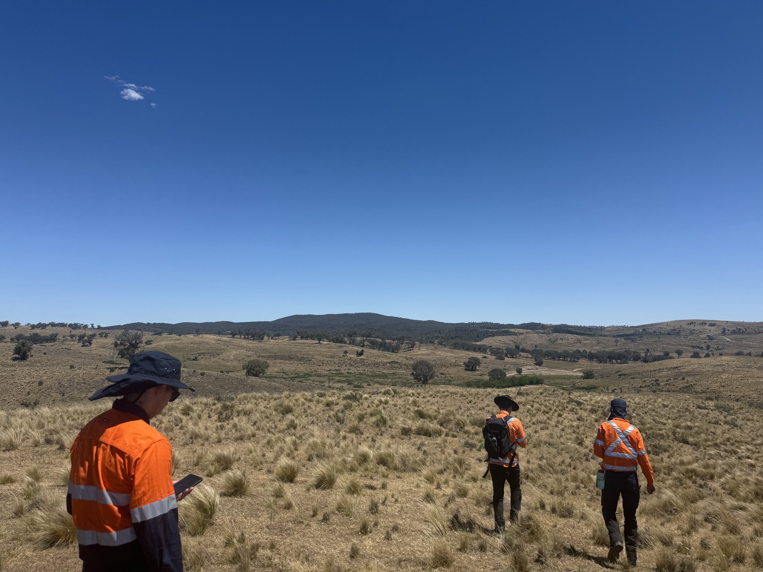 December 2025 Update