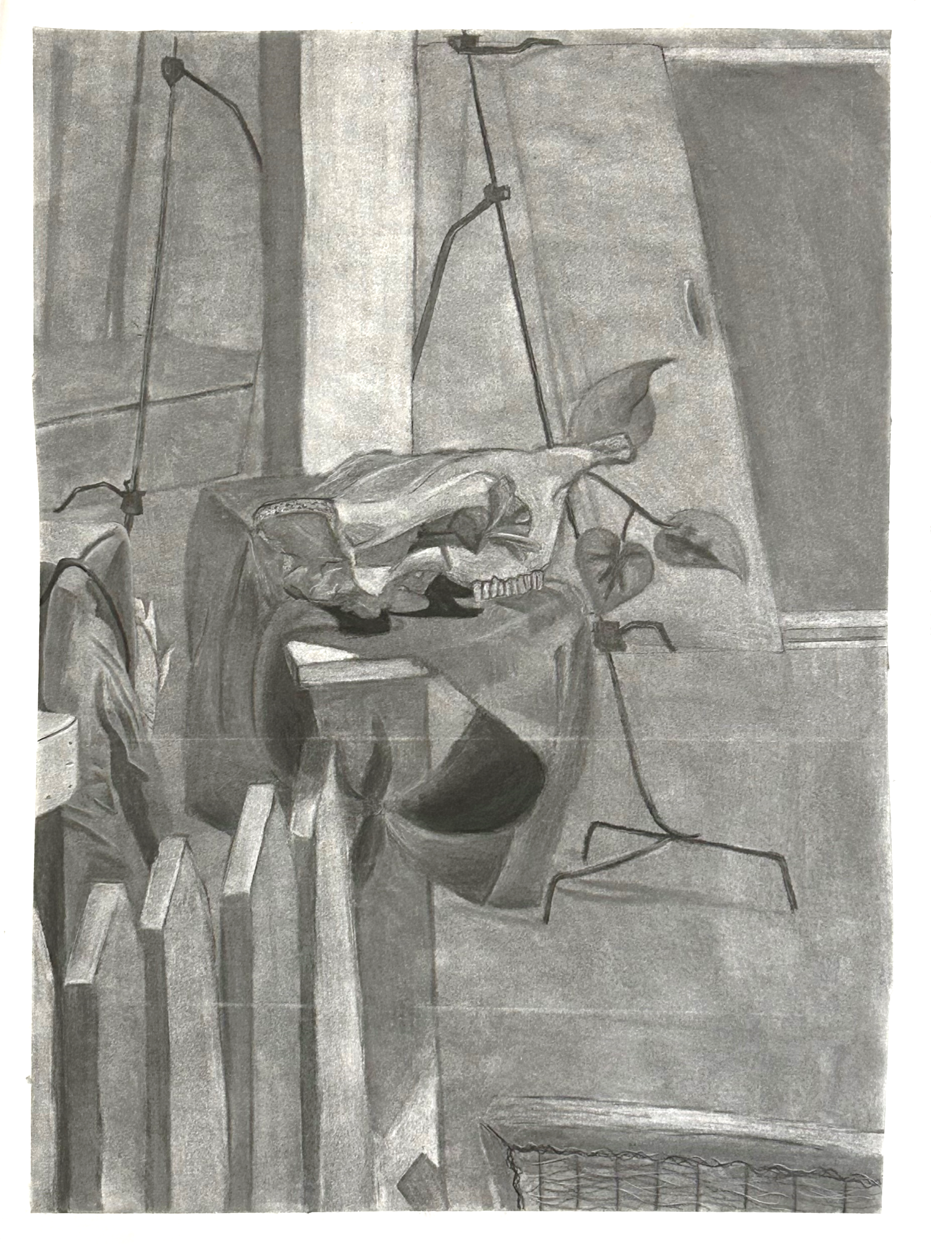Picture61.png