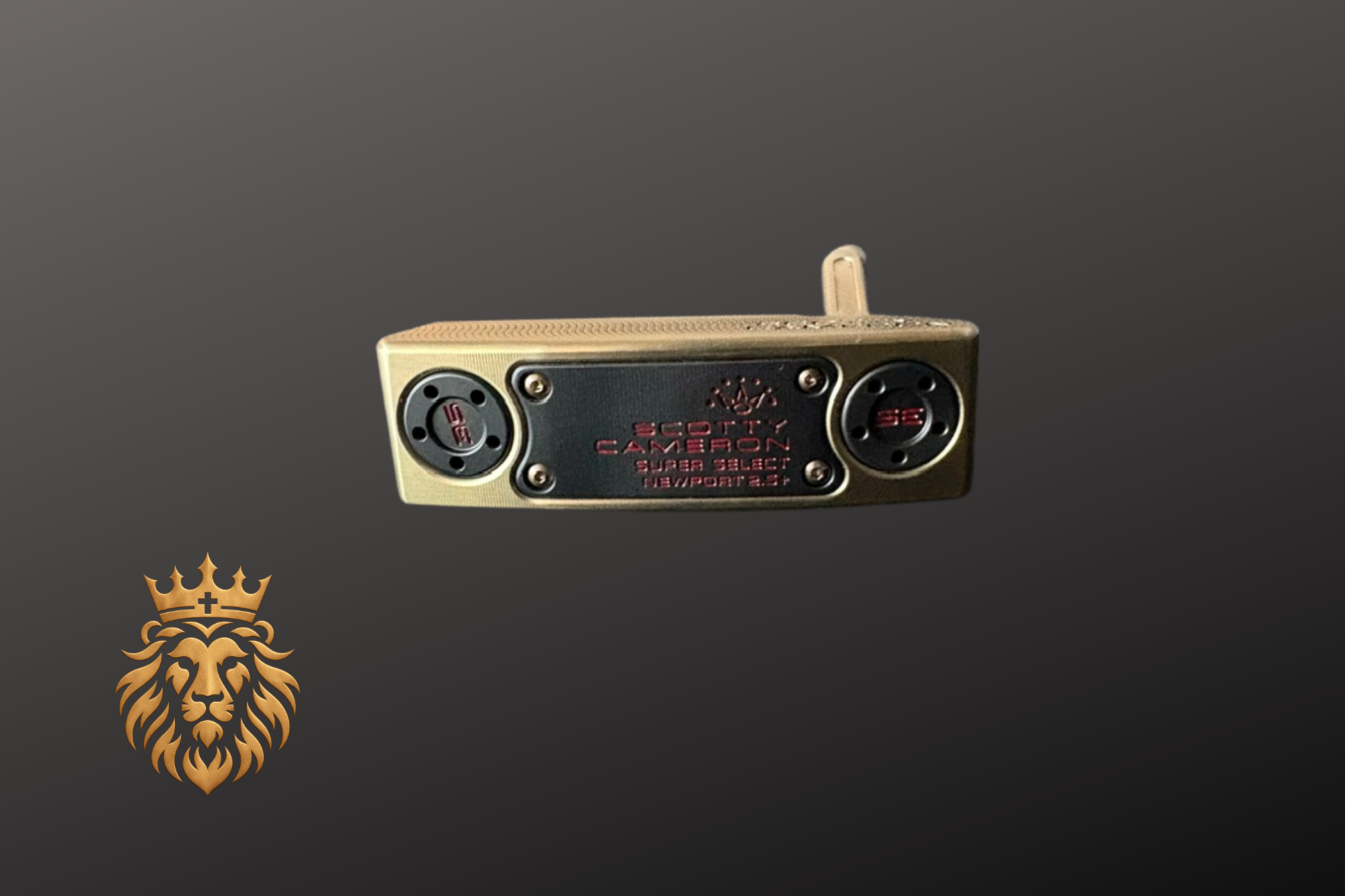 Bronze and Midnight Blue #1 (14).png