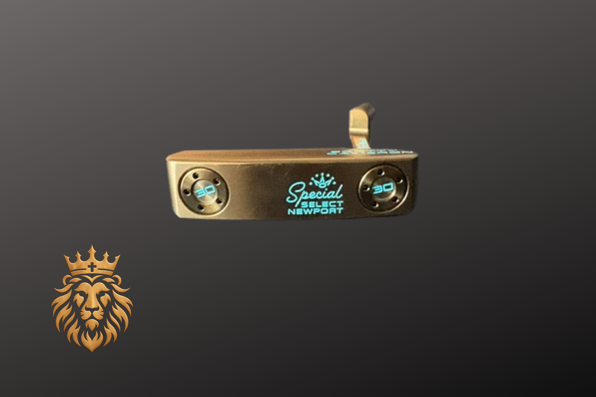 Bronze and Midnight Blue #1 (5).png