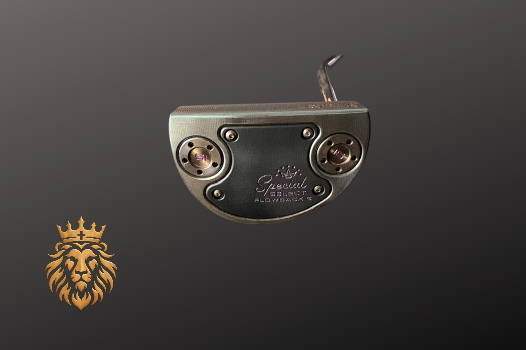 Bronze and Midnight Blue #1 (8).png