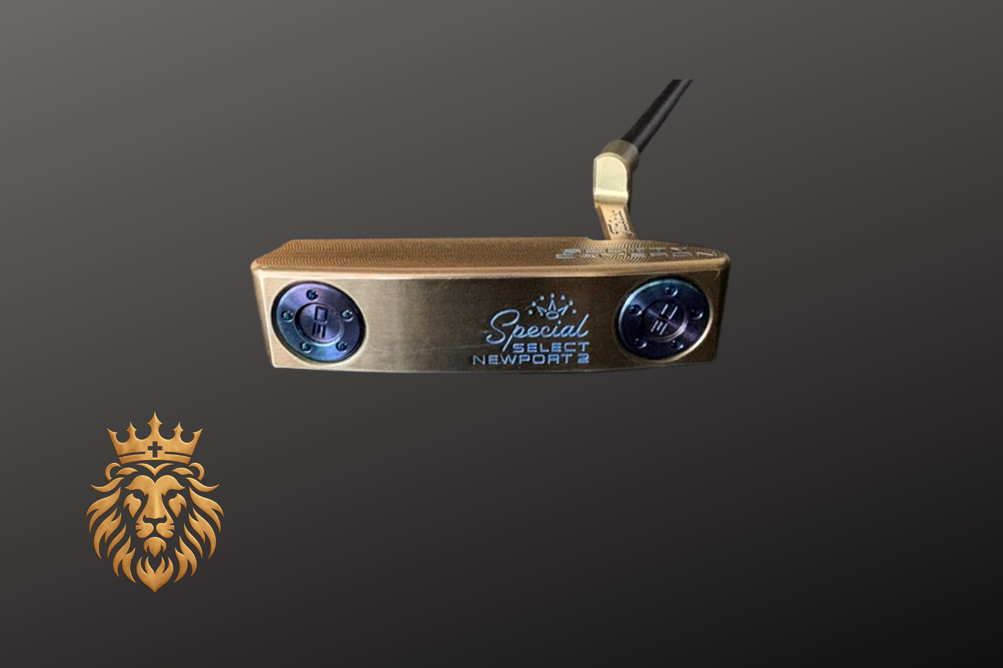 Bronze and Midnight Blue #1 (2).png