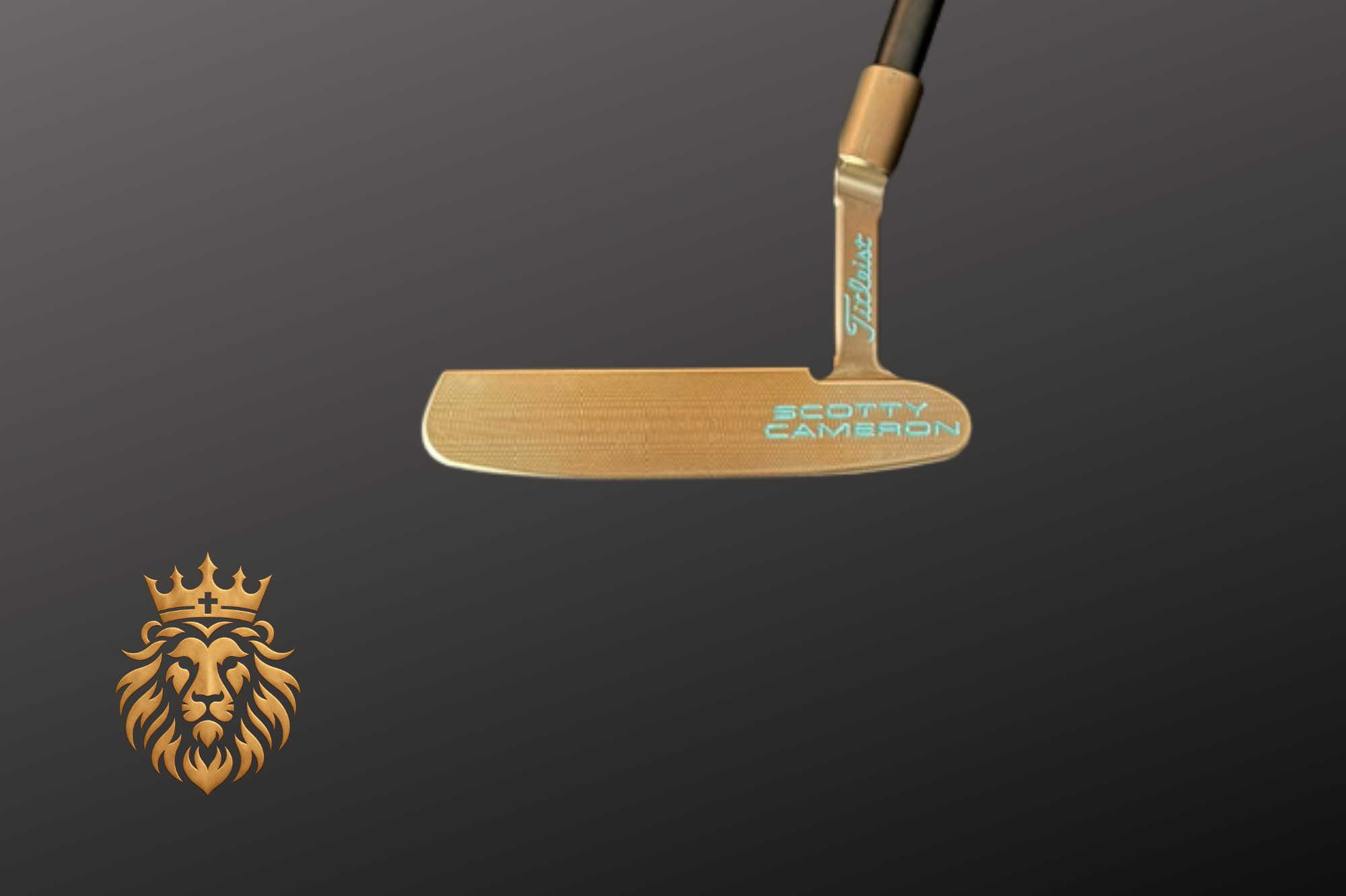 Bronze and Midnight Blue #1 (6).png