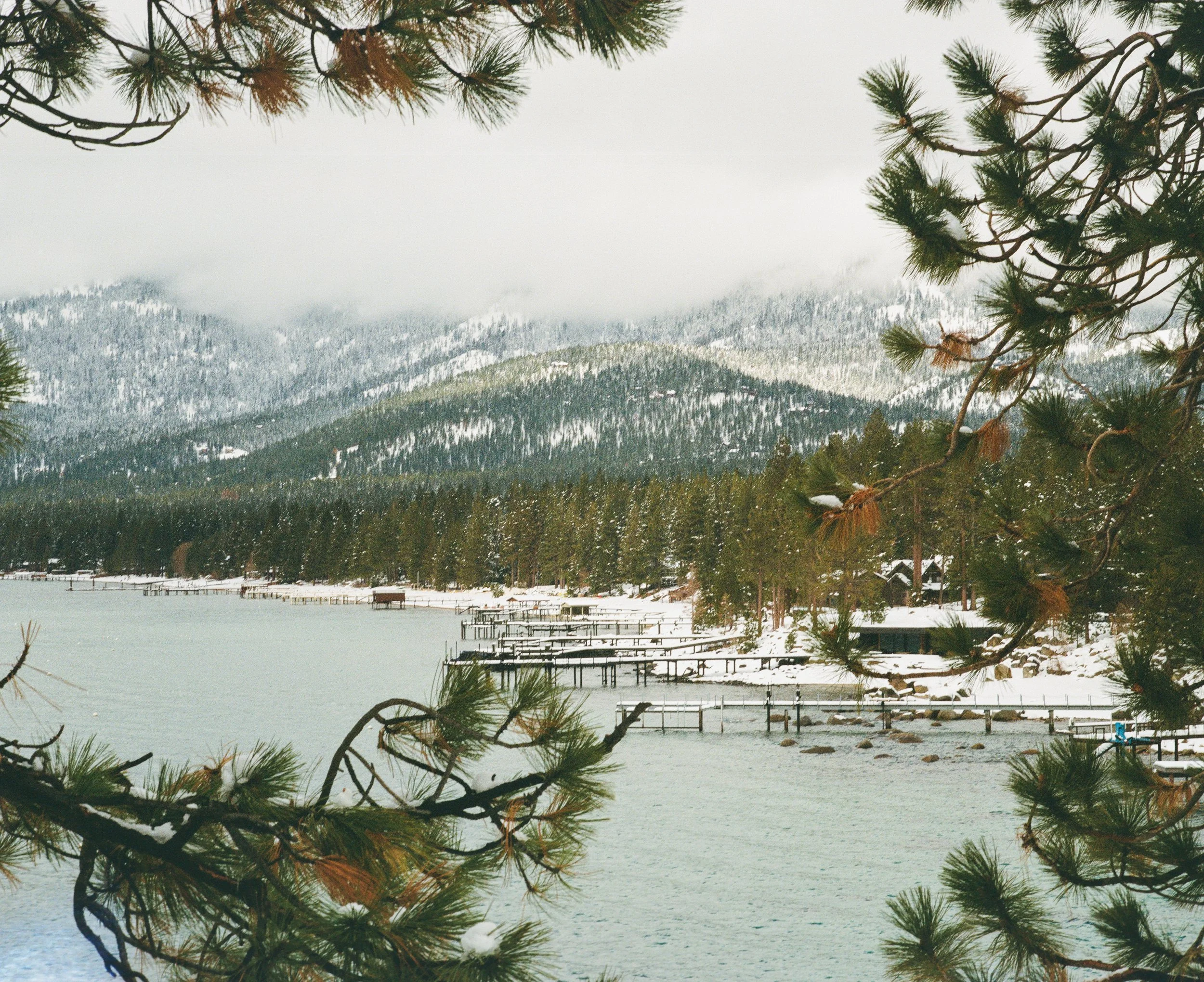 Snow-covered lake and shoreline surrounded by pine trees, mountains in the background, and partially obscured by overhanging pine branches.