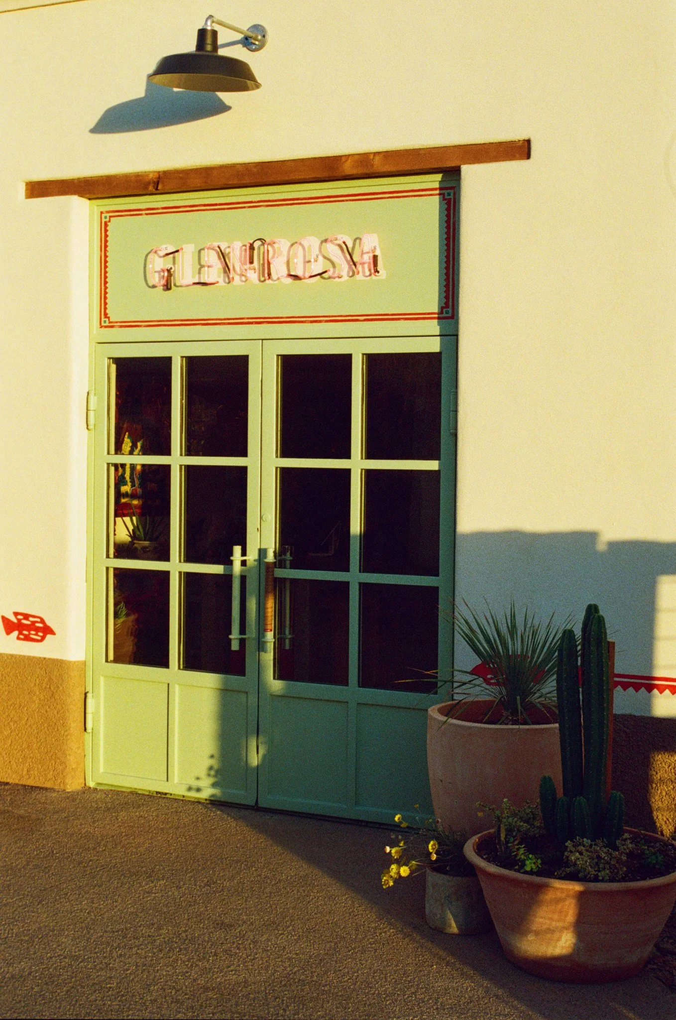 A pastel green door with glass panes and a neon 'GELATO' sign above, next to two large potted cacti and a small flowering plant in a sunny outdoor setting.