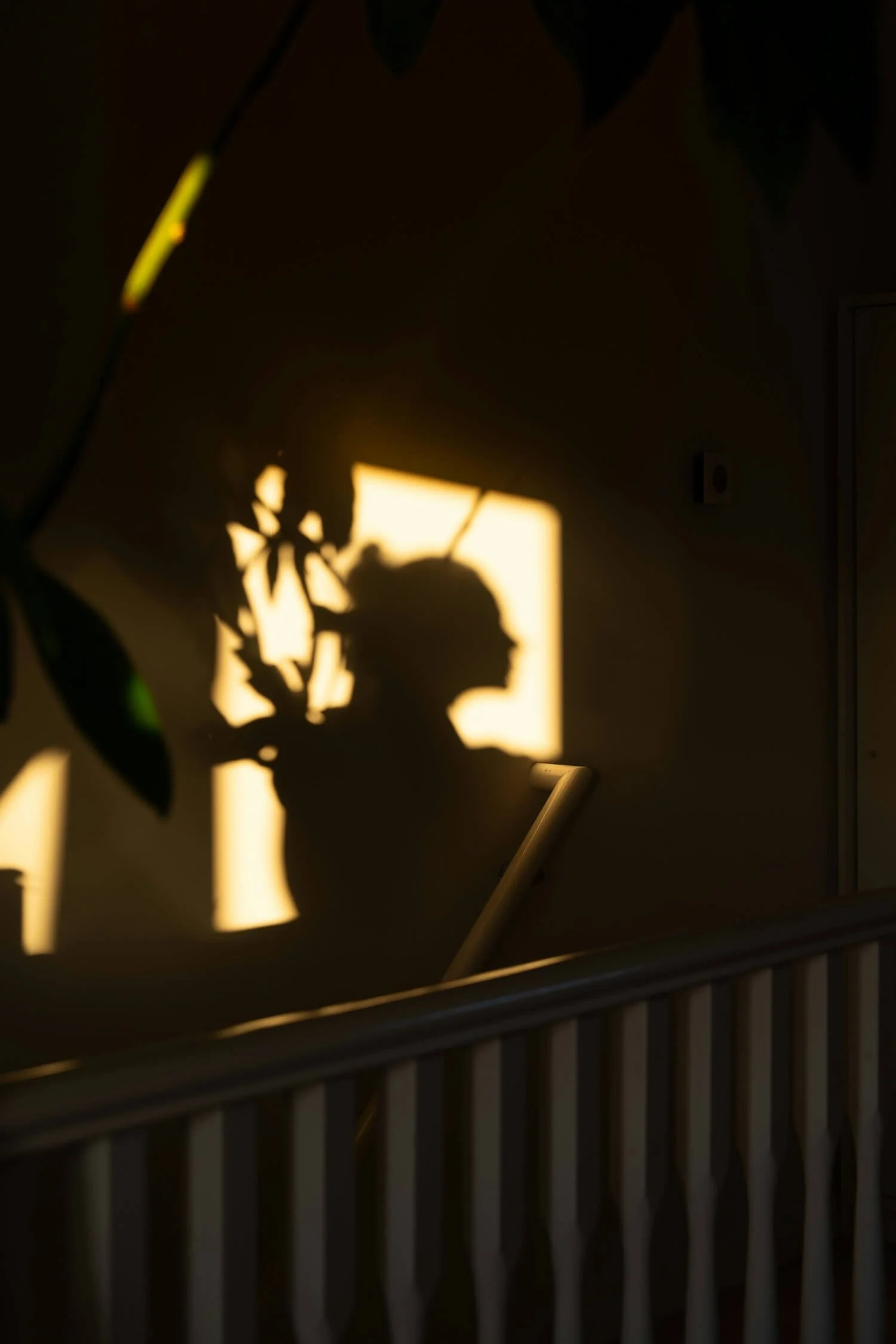 Soft shadow of a person and nearby leaves cast against a sunlit wall, creating a quiet, introspective moment that evokes reflection, memory, and the gentle stillness often felt during grief.