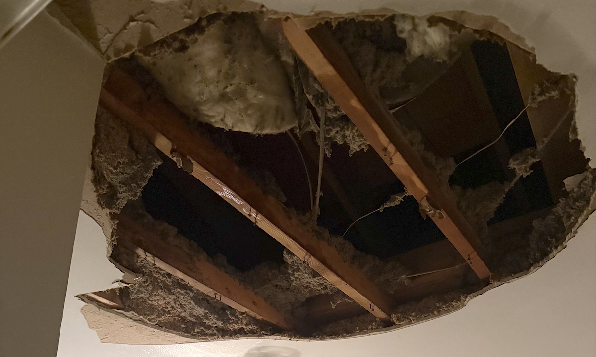 🤯 The Ceiling Collapsed and So Did My Nervous System