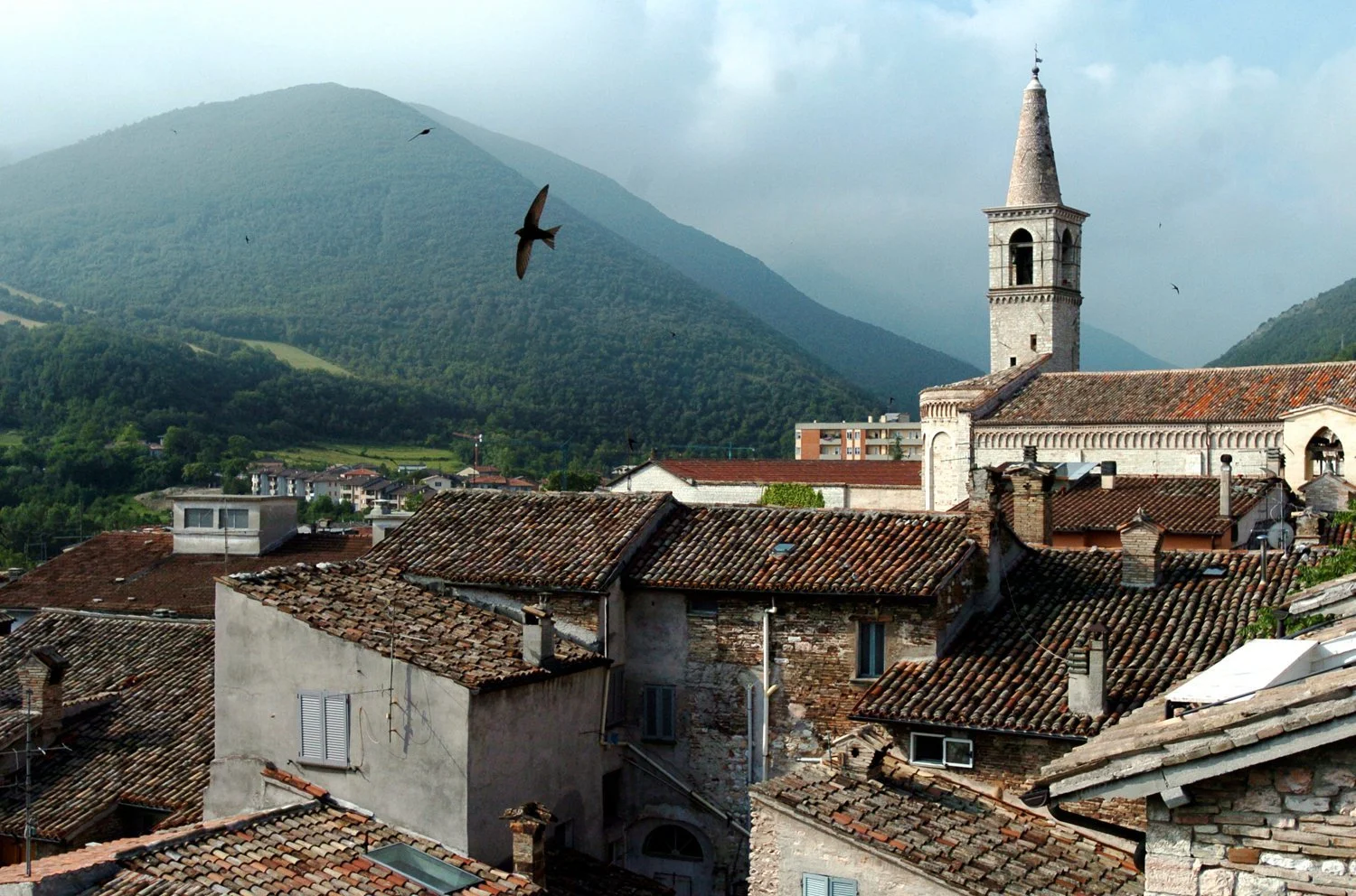 cagli_georgemiller copy.jpg