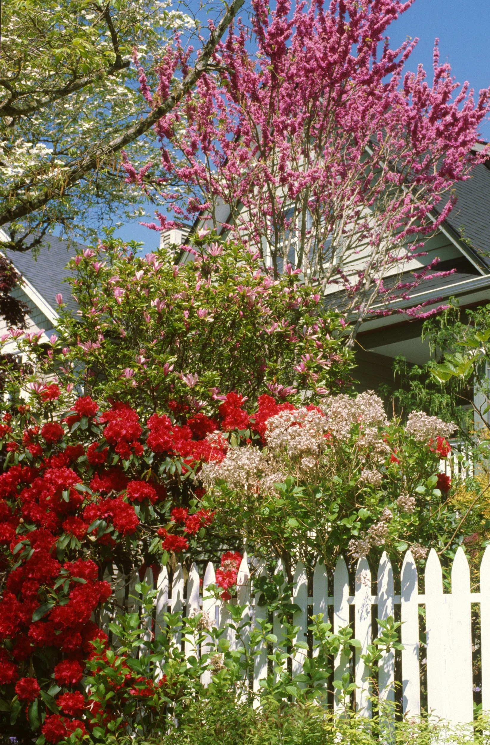 white picket fence.jpg