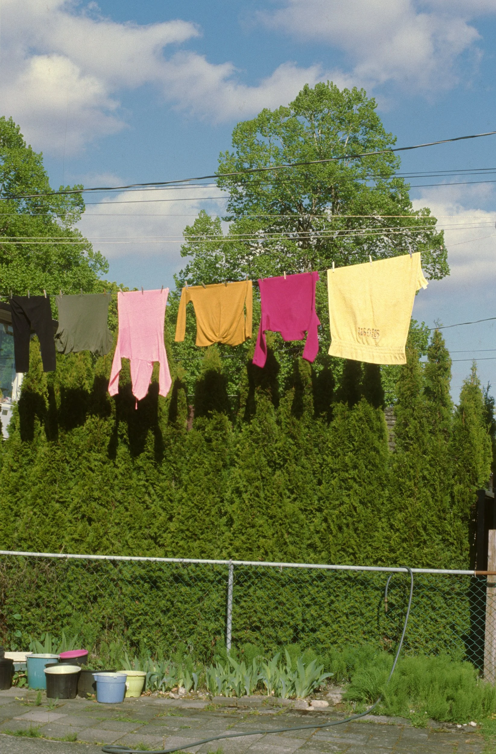 color on the line.jpg