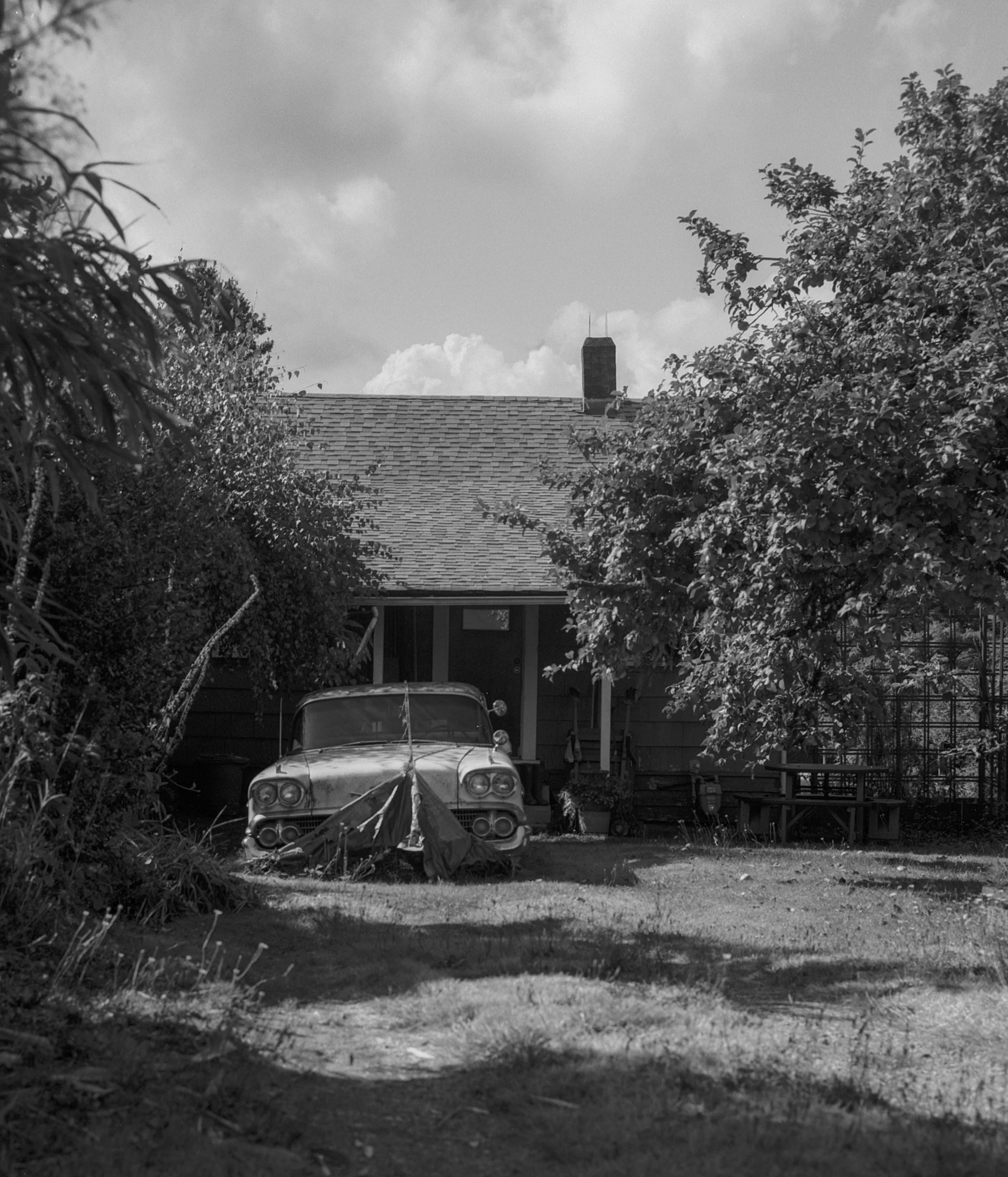 b&w web ready car.jpg