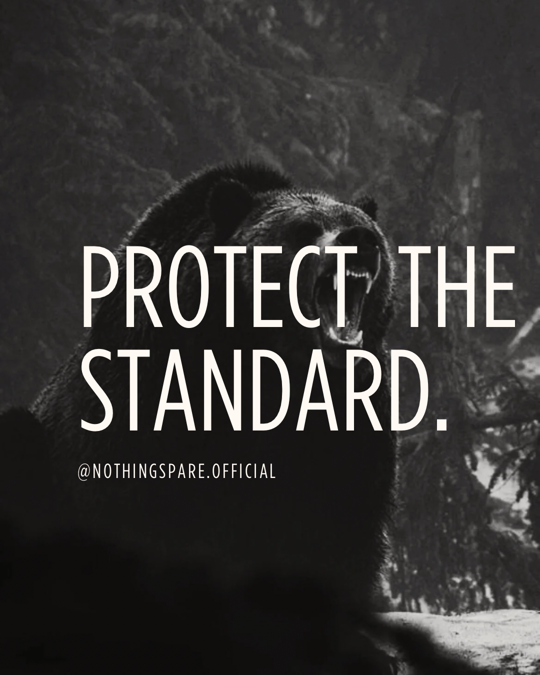 4 Week Movement Program. Edition 01.