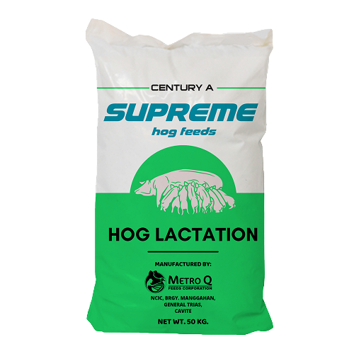 A 50 kg bag of pig feed labeled "Hog Lactation" from Century A Supreme Hog Feeds, manufactured by Metro Q Feeds Corporation.