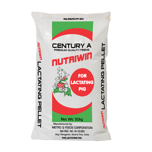 White bag of Century A Nutriwin lactating pig feed, weighing 50kg, with a green and red label, depicting a cartoon piglet and text indicating it's for lactating pigs.
