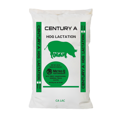 A bag of Century A hog lactation feed with green and black text and a green pig silhouette logo.