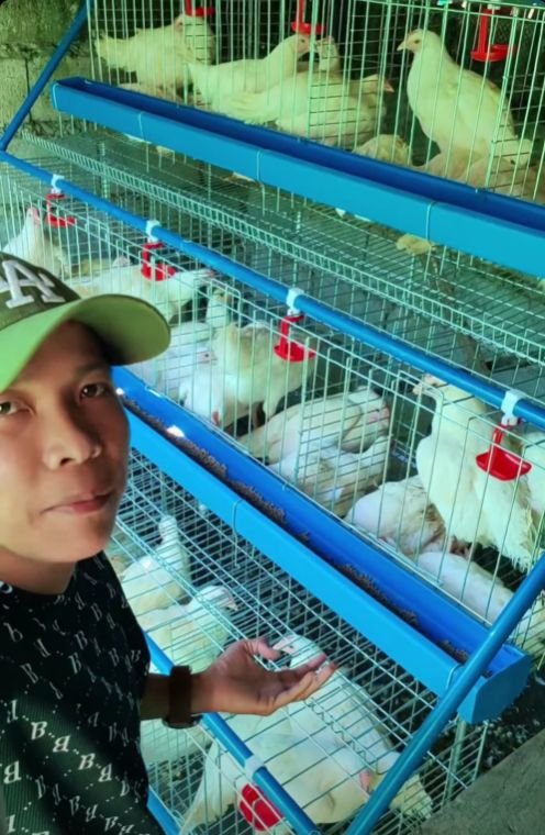 Person standing next to cages filled with white and brown chickens at an outdoor market or farm.