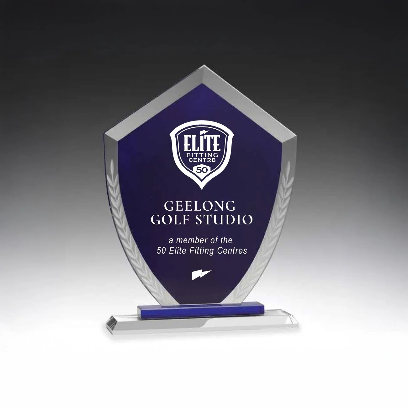 The Elite 50 Program personalised award