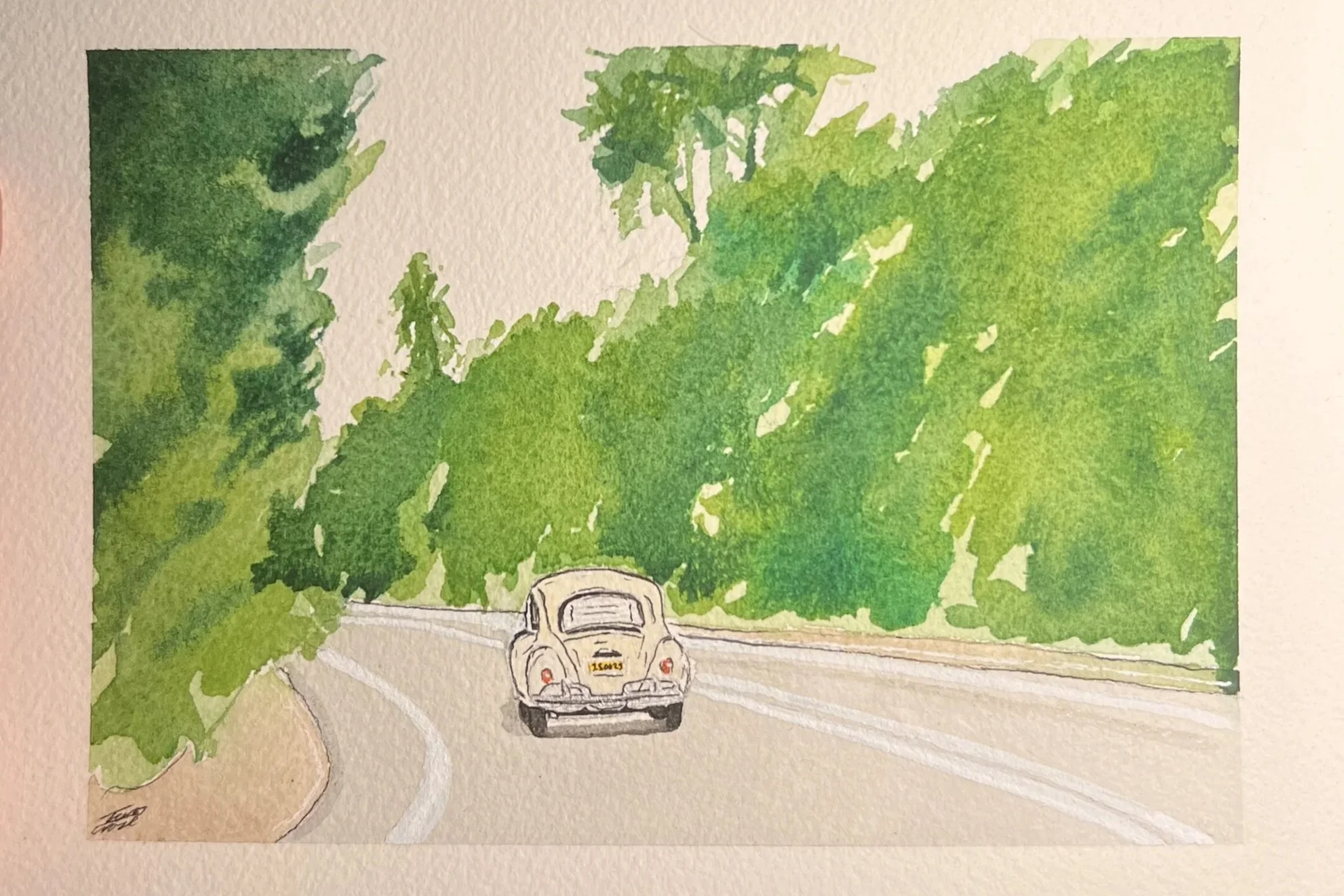 Watercolor painting of a vintage beige car driving down a tree-lined road, with green trees on both sides and an overcast sky.