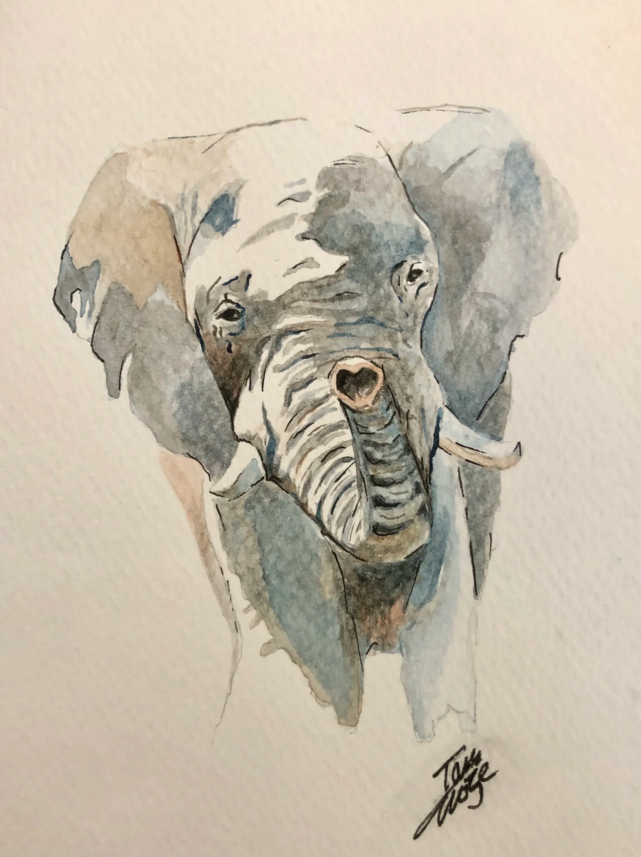 Watercolor painting of a baby elephant with damage on its ear, signature at the bottom right.