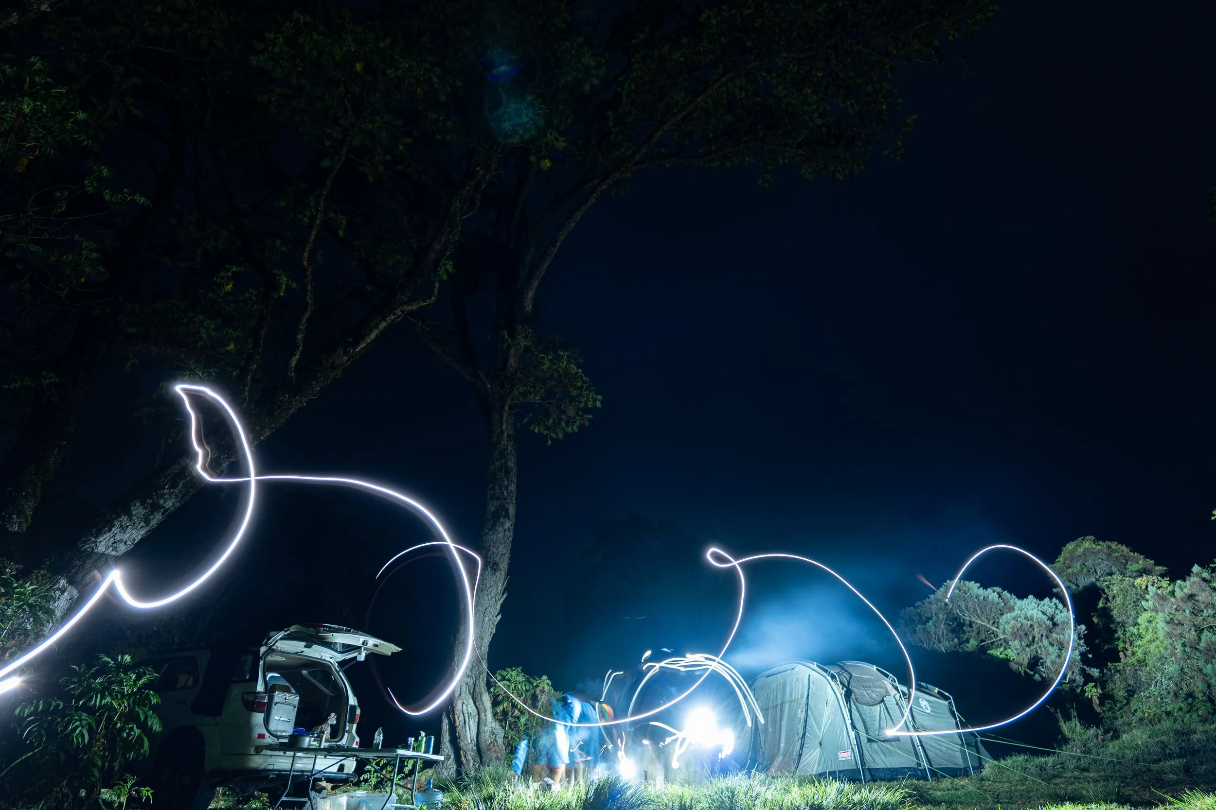 Nighttime outdoor scene with trees, tents, and vehicles illuminated by light trails from sparklers or long exposure lights, creating swirling patterns in the sky.