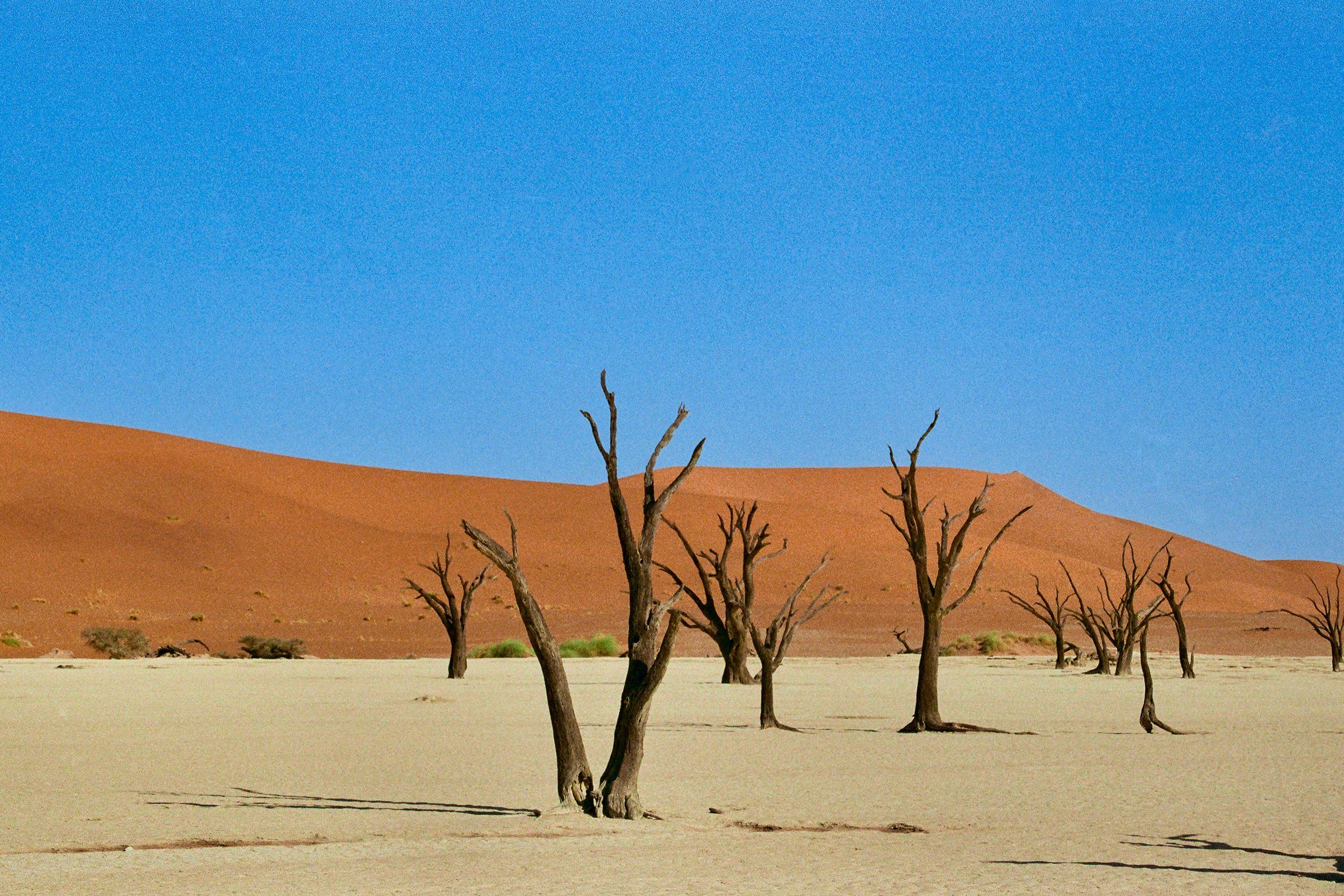 Deadvlei