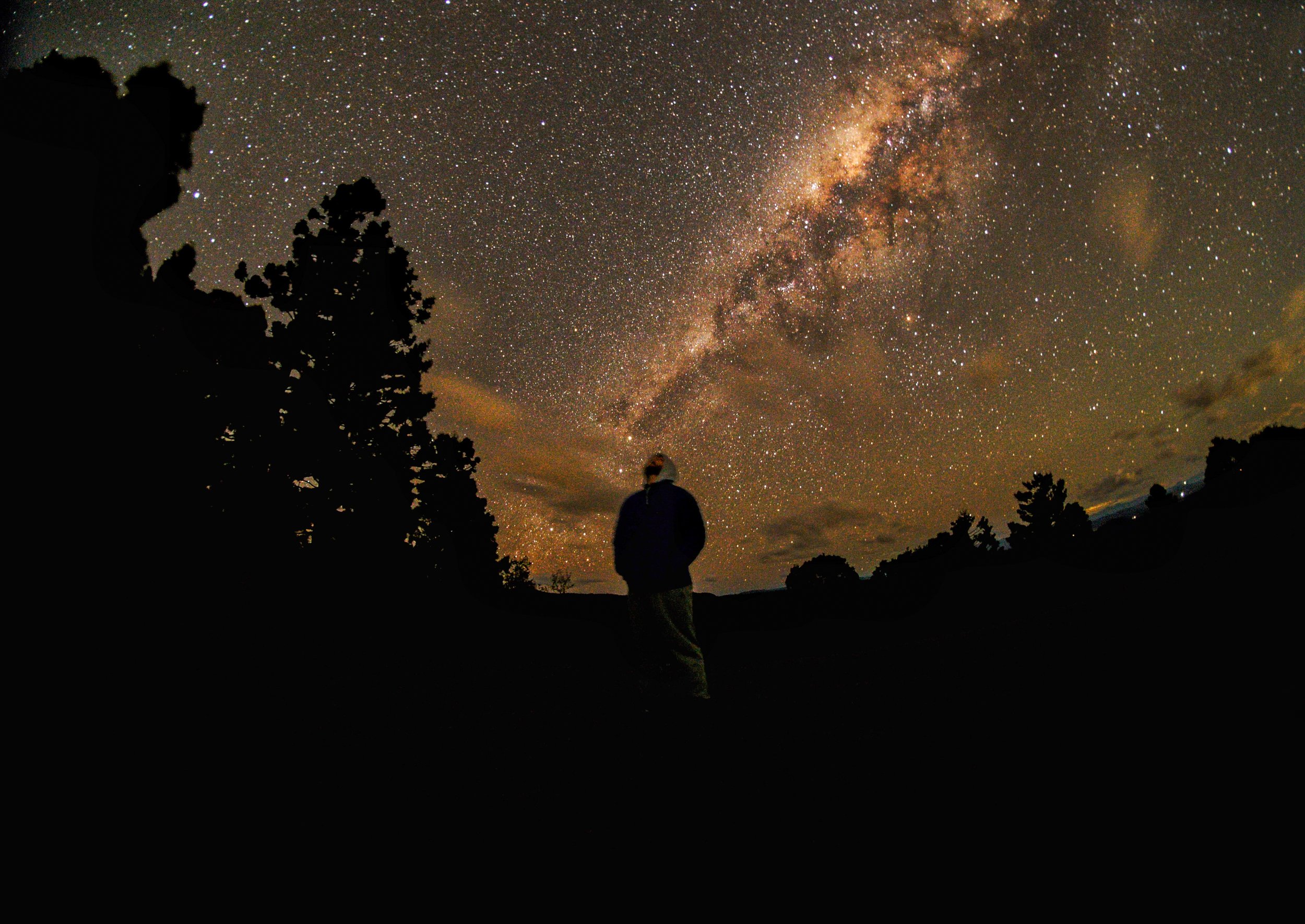 Night sky filled with stars and the Milky Way galaxy, with silhouettes of trees and a person standing and looking at the sky.