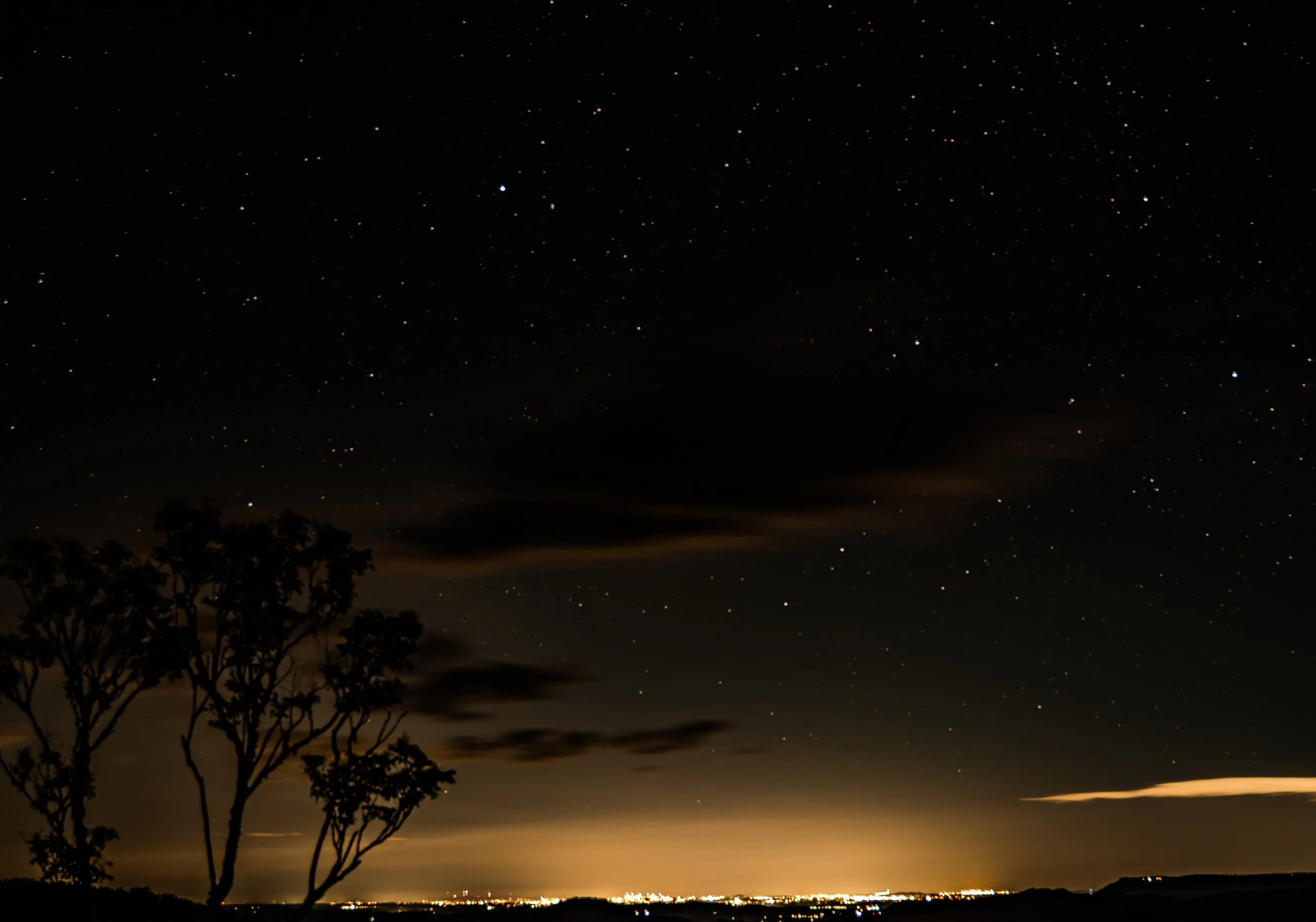 Night sky filled with numerous stars above a landscape with silhouetted trees and distant city lights.