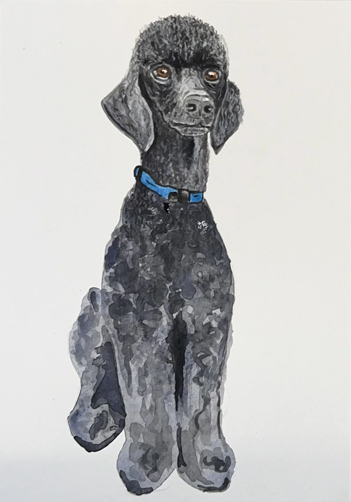 Painting of a black and gray dog with floppy ears, standing with a blue collar, against a plain light background.
