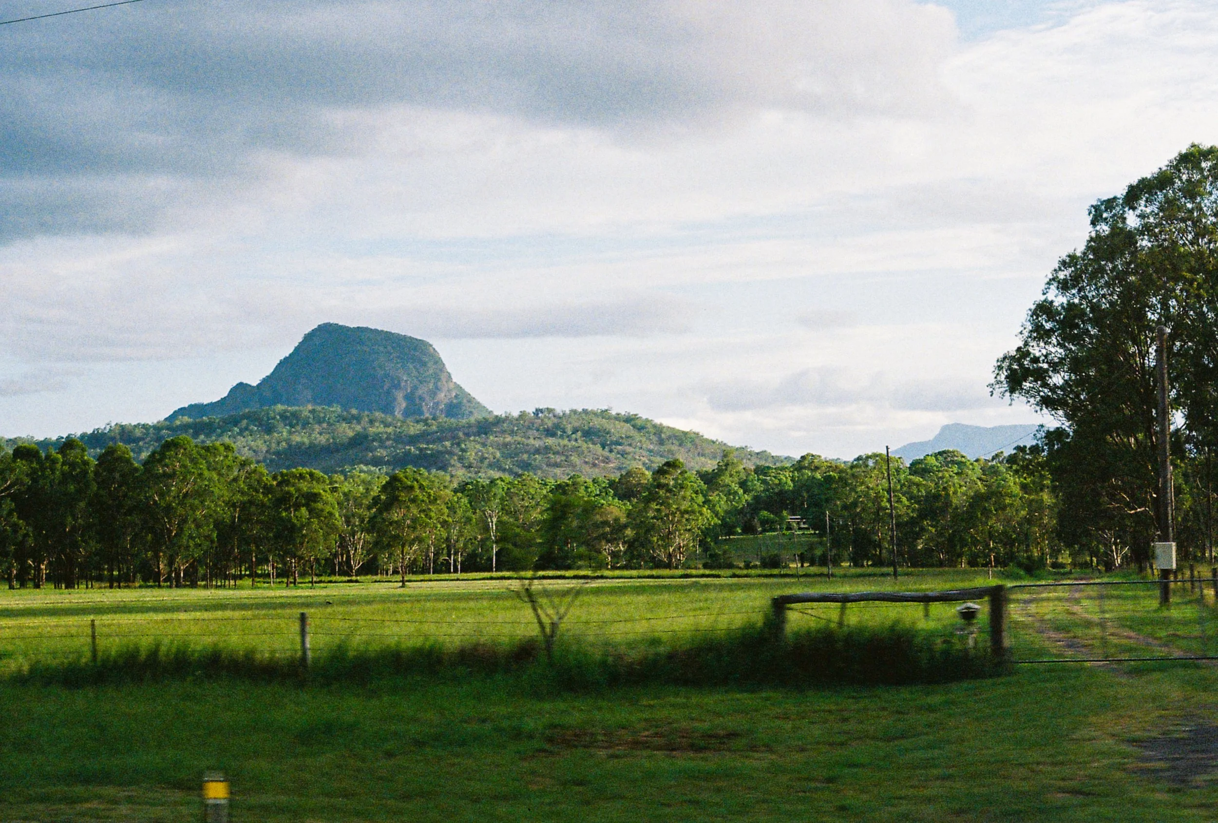 Scenic landscape with green fields, a small fence, trees, and a mountain in the distance under a cloudy sky.