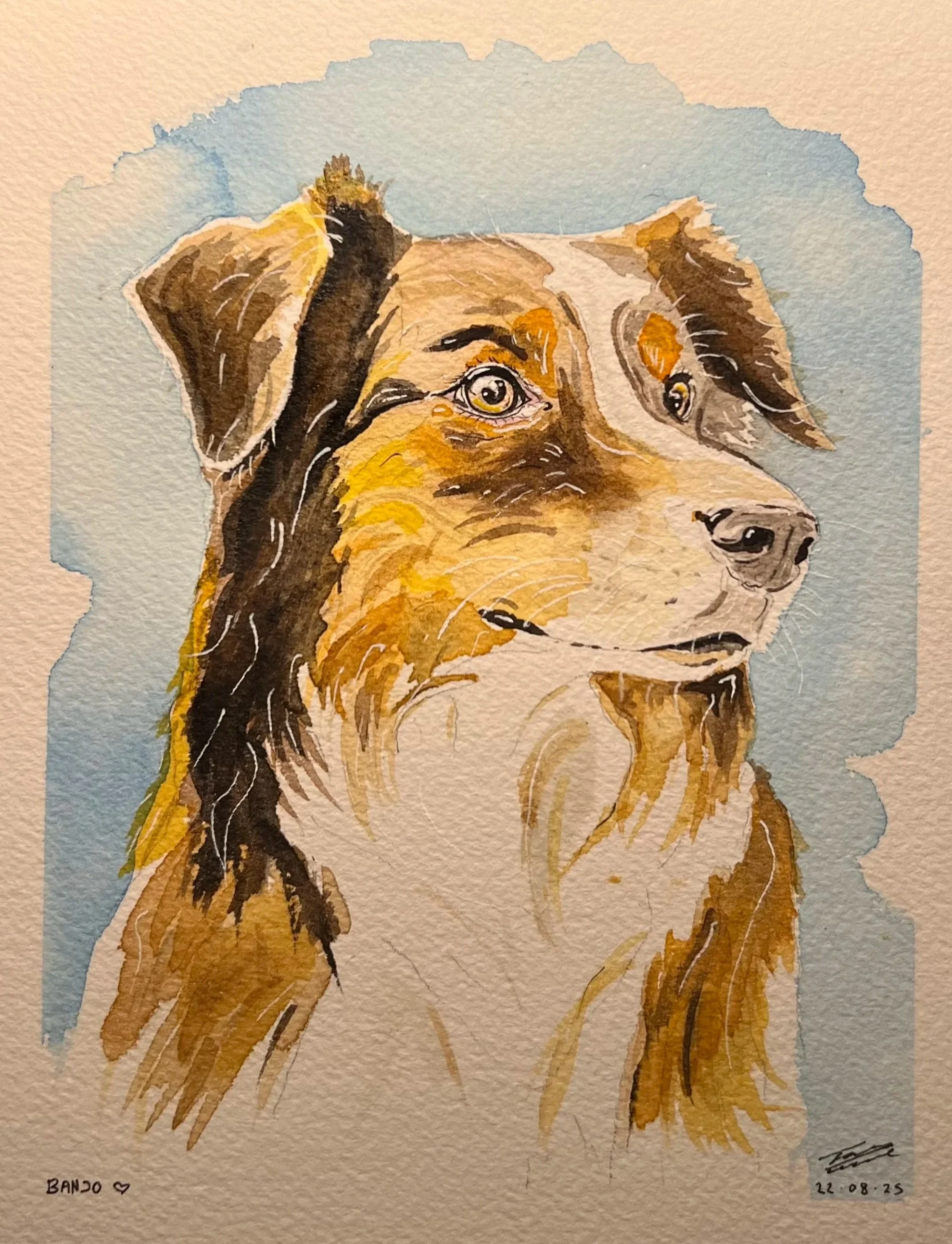 Watercolor painting of a dog with brown, black, and white fur, gazing to the right with a light blue background. The painting is signed and dated at the bottom.