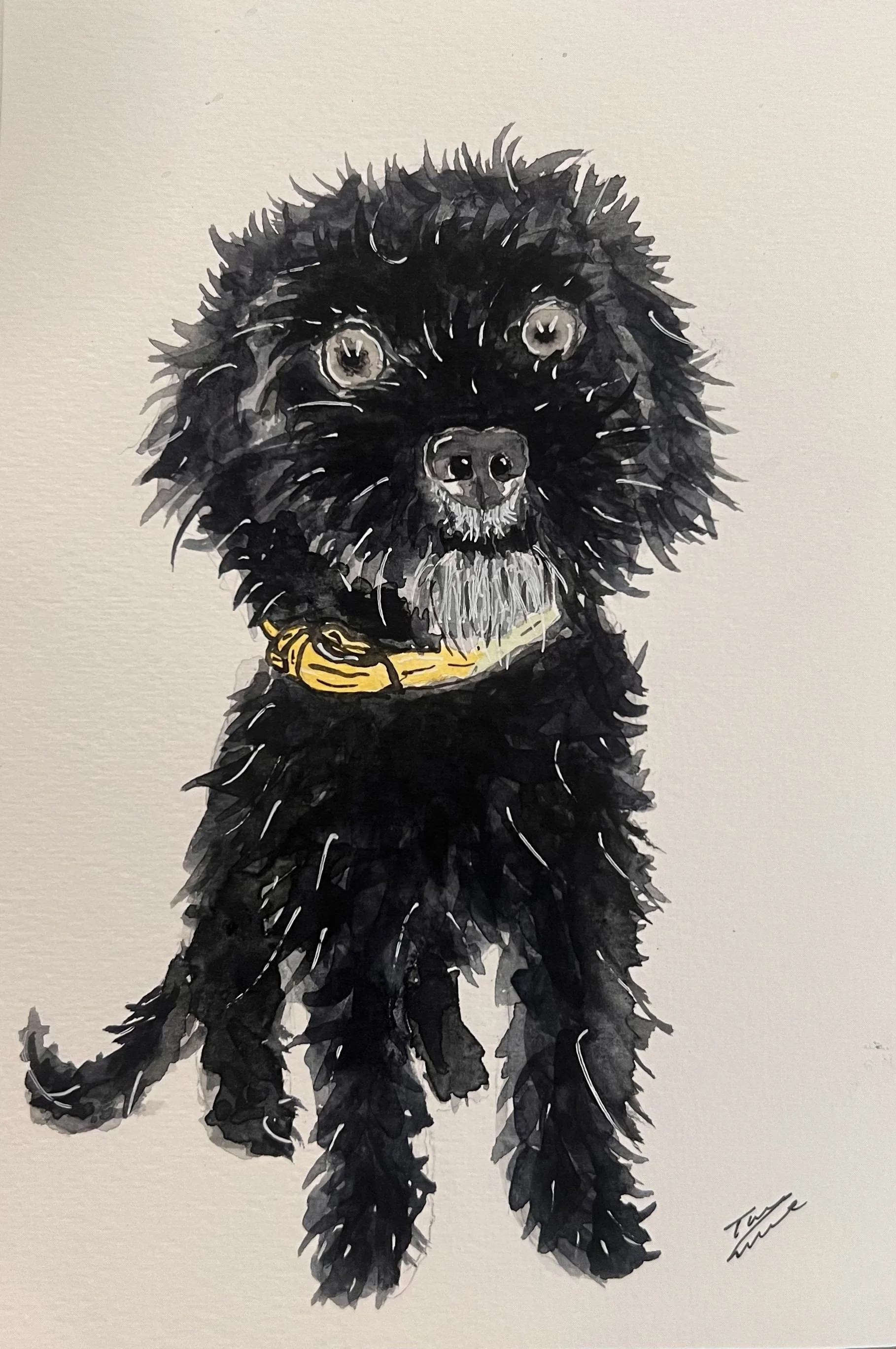 A watercolor painting of a black dog with a yellow collar standing on a white background.