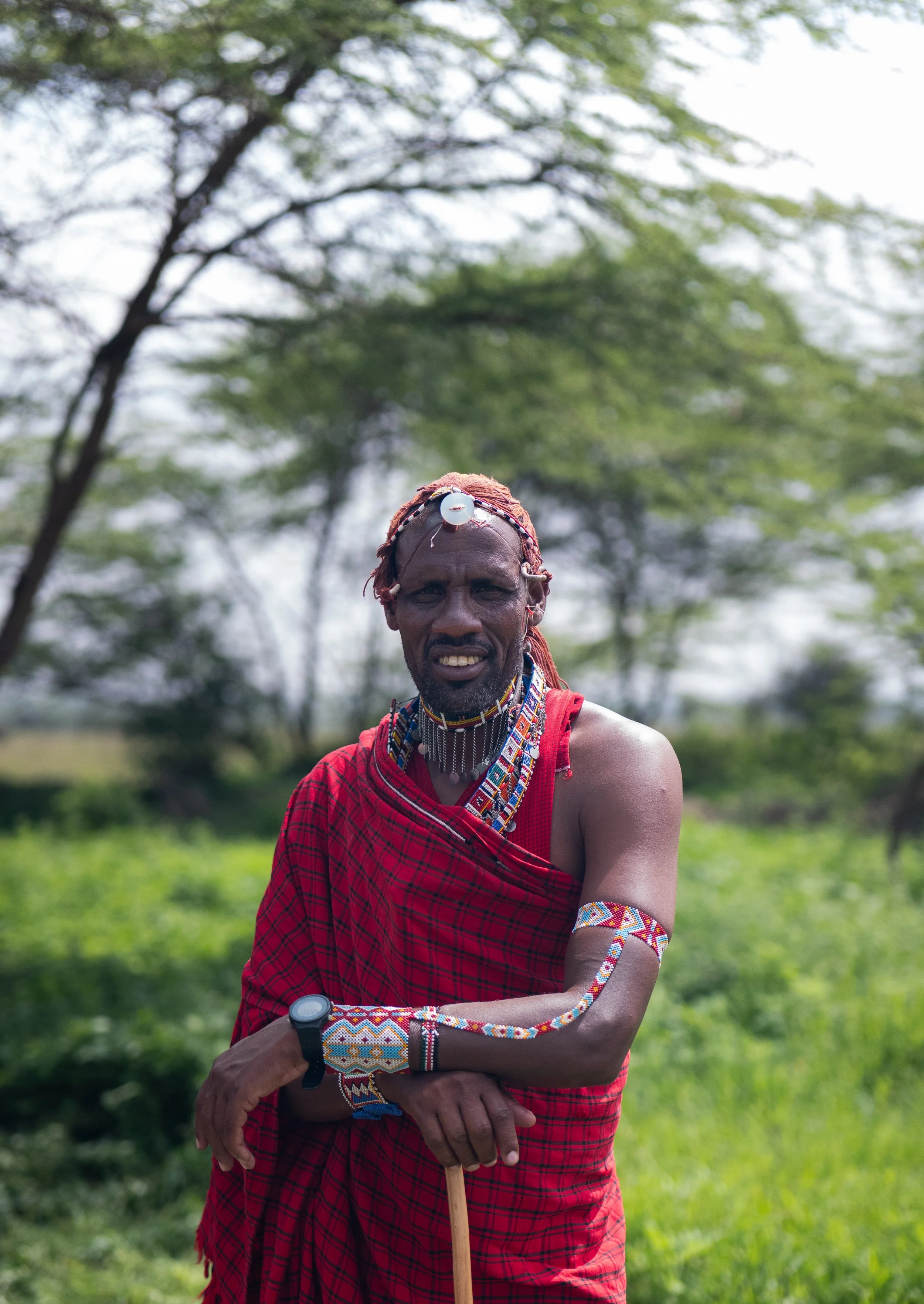 A Maasai man standing outdoors, wearing traditional red shuka, beaded jewelry, including necklaces, bracelets, and earrings, with a wooden staff, in a grassy area with trees in the background.