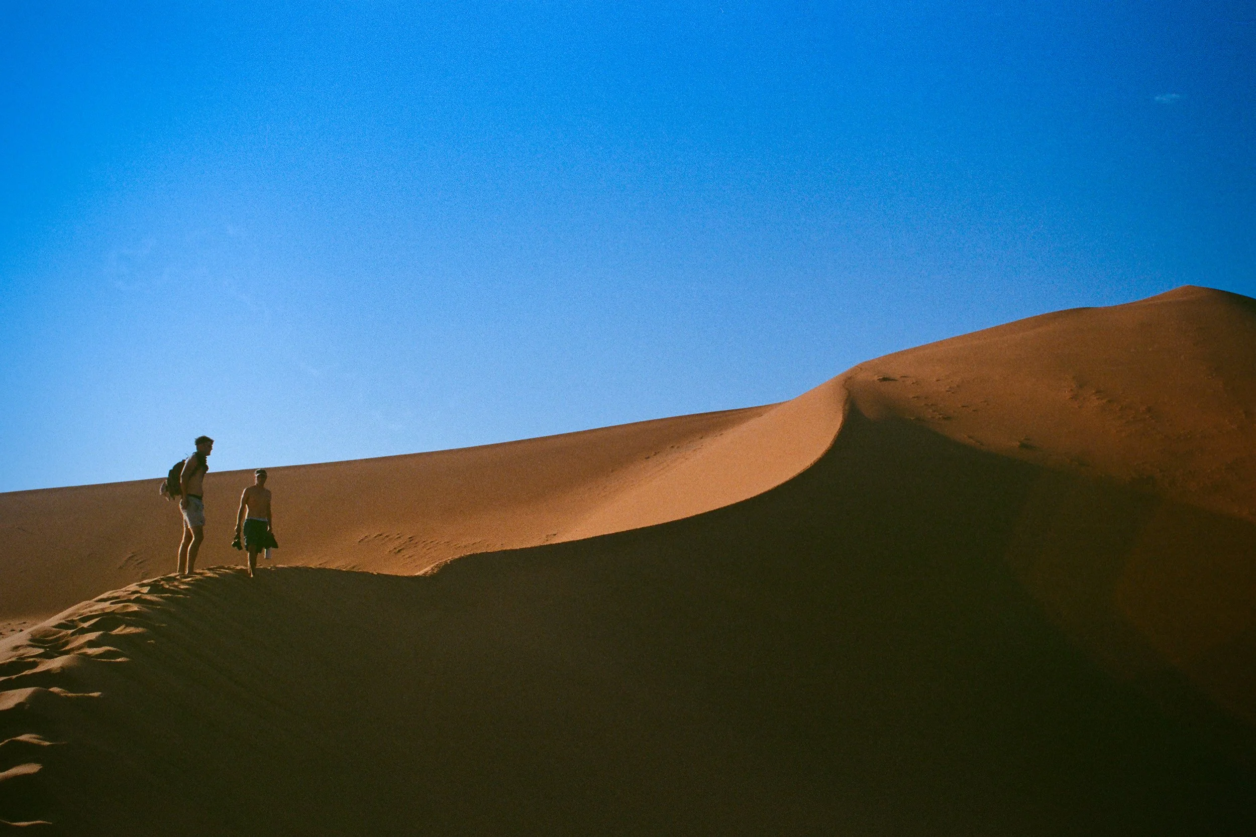 dune.jpg