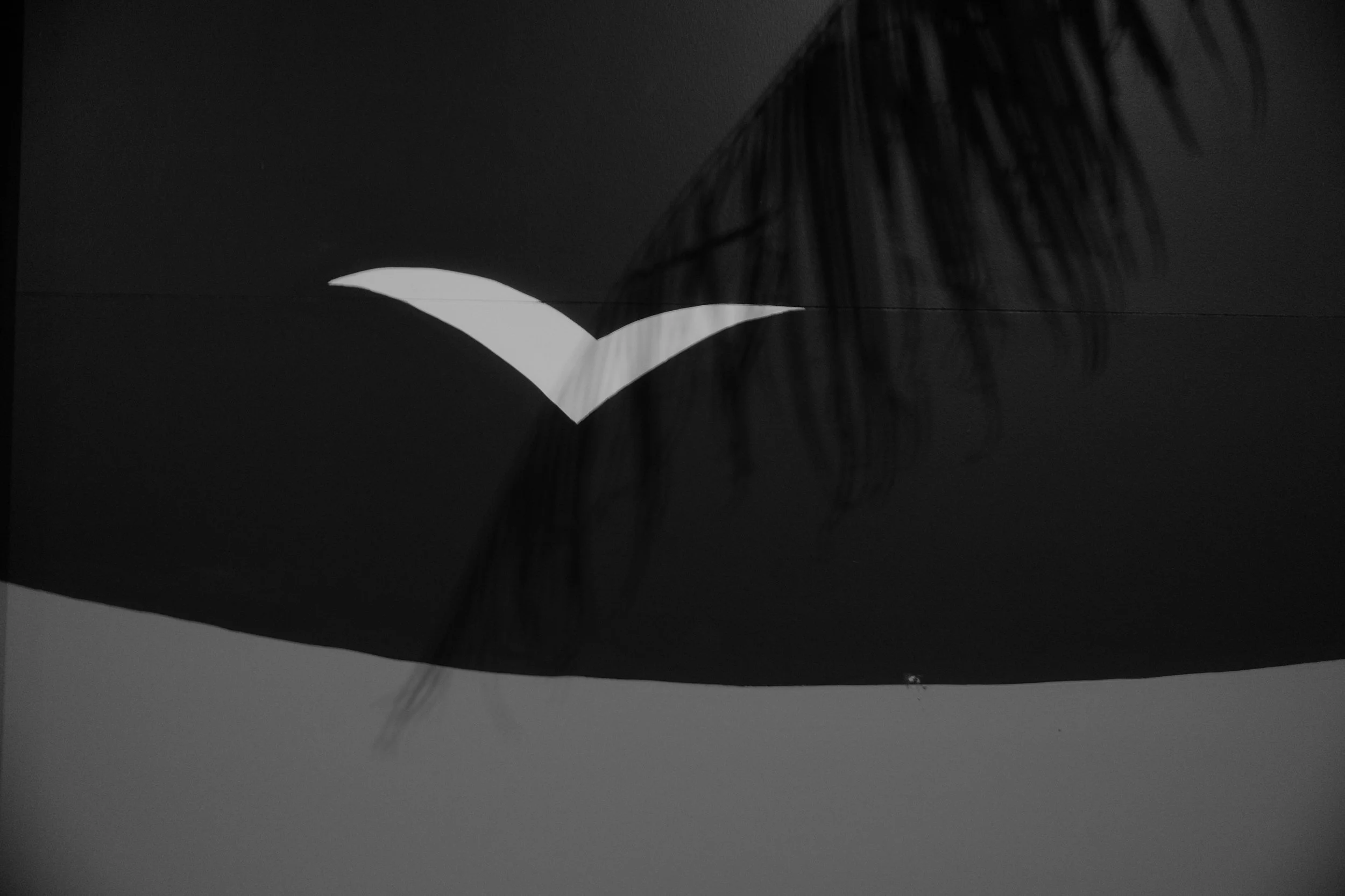 DSCF4313.jpg