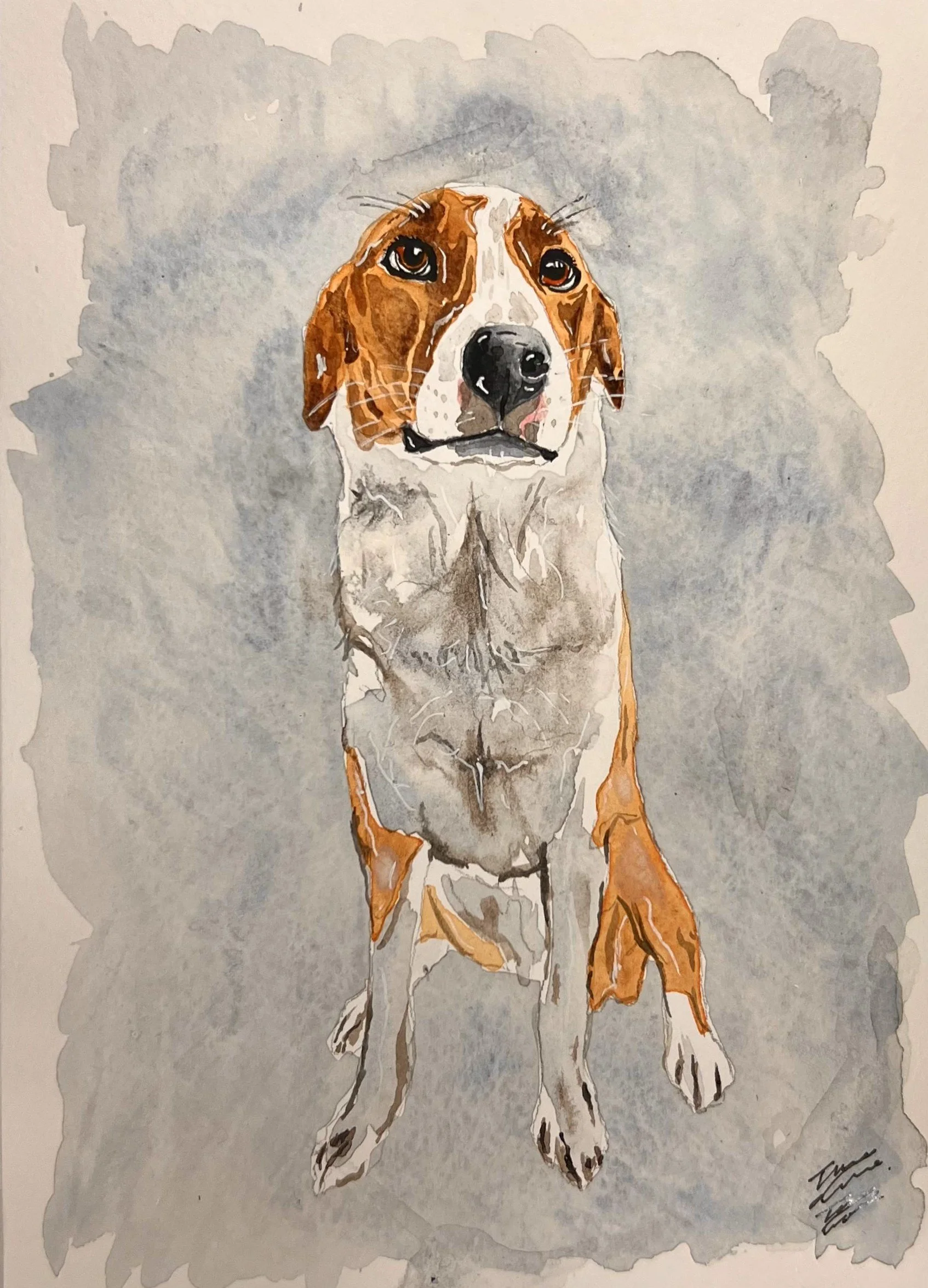 Watercolor painting of a beagle dog standing on a gray textured background, looking directly at the viewer with a calm expression.