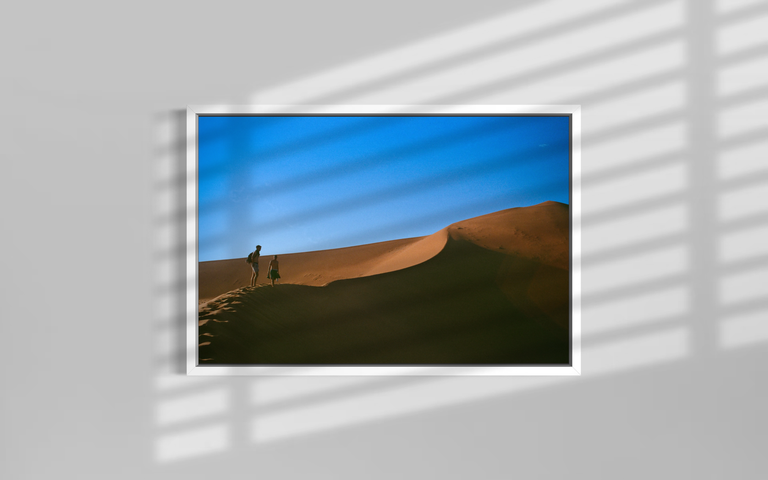IMG_2708.PNG