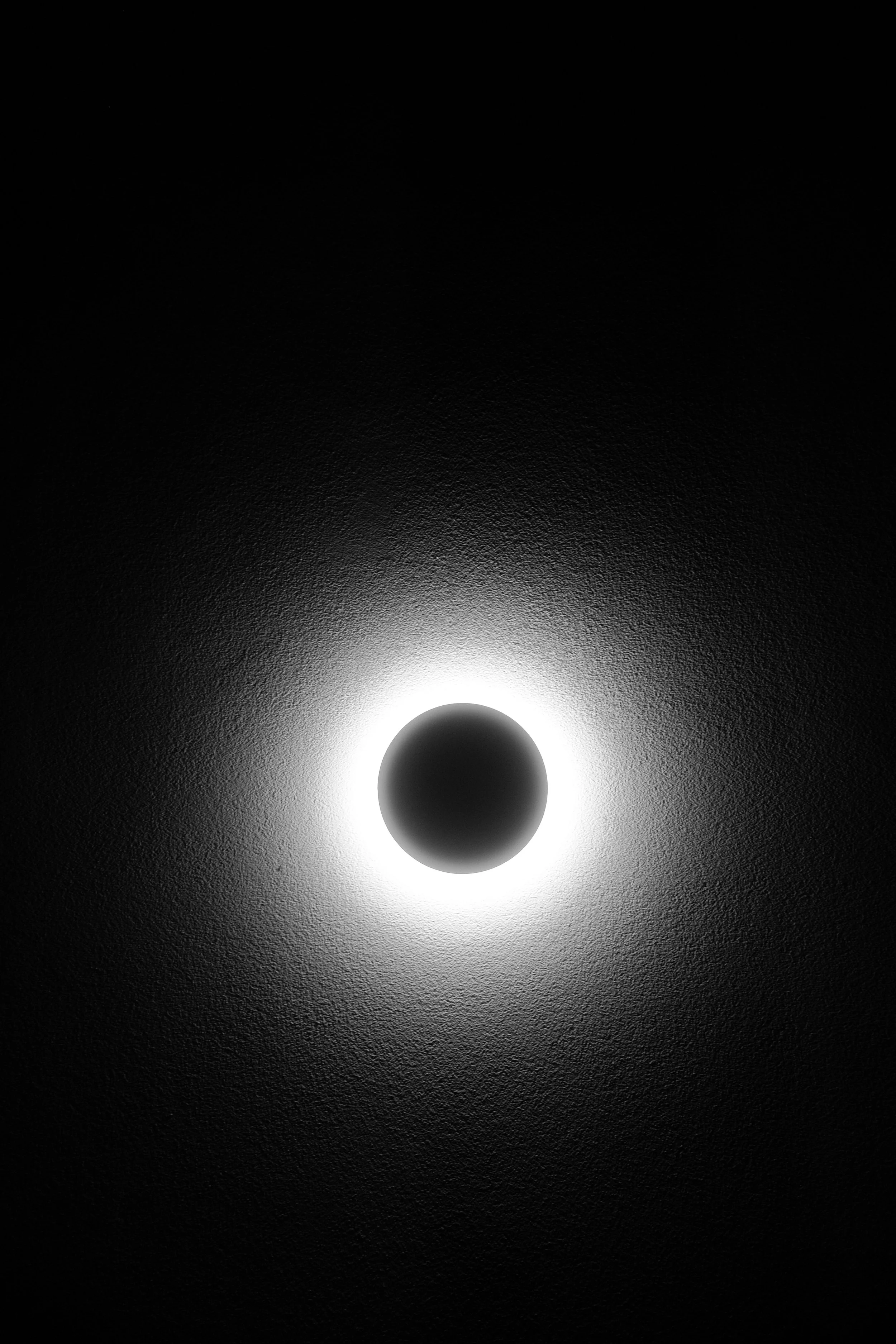 DSCF4336.jpg