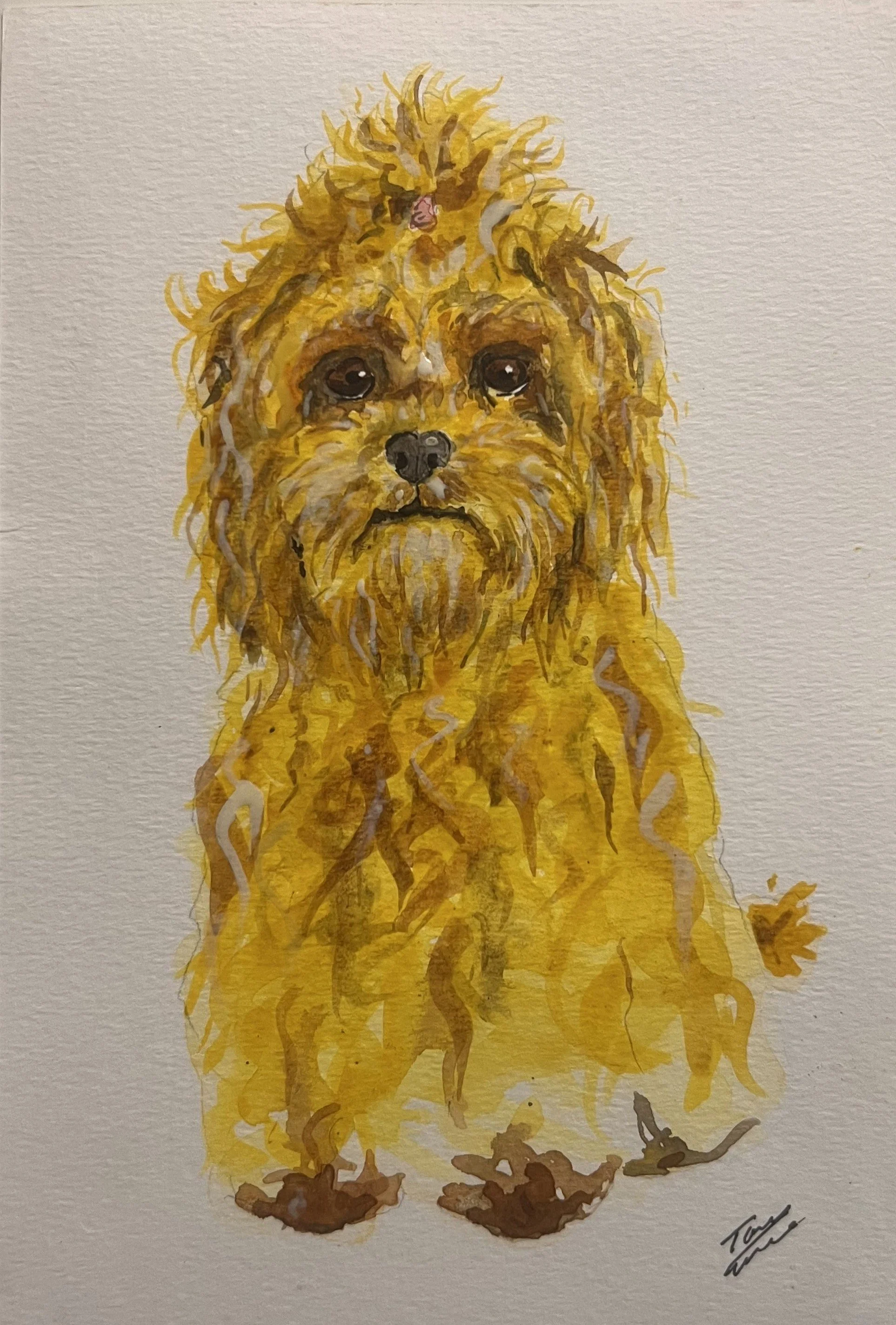 Watercolor painting of a small, fluffy dog with a curly coat, sitting on a white background. The dog has dark eyes and a slightly sad expression. The artist's signature is in the bottom right corner.