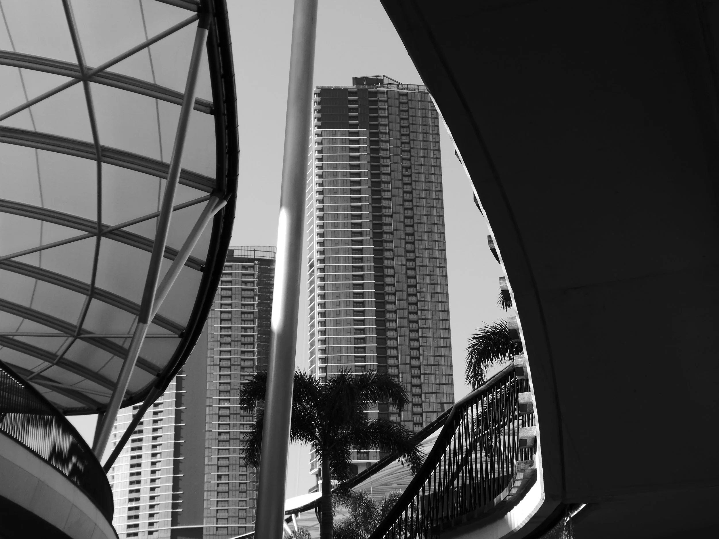 Taro_TZ99_COMP-1030022.jpg