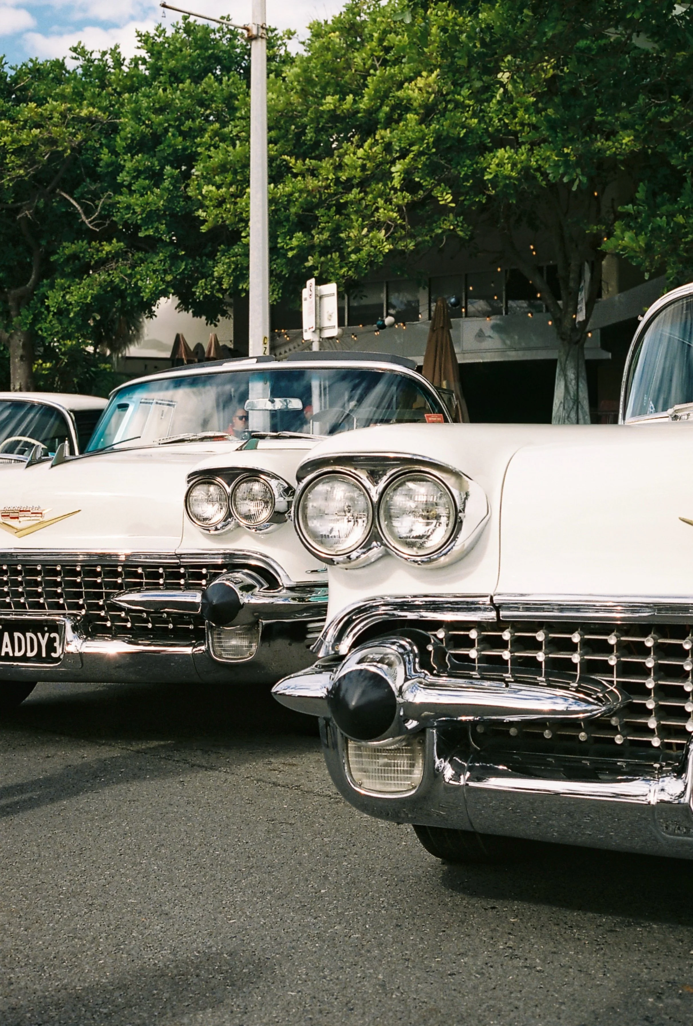 Close-up of vintage white Cadillac cars parked outdoors with trees and a building in the background.