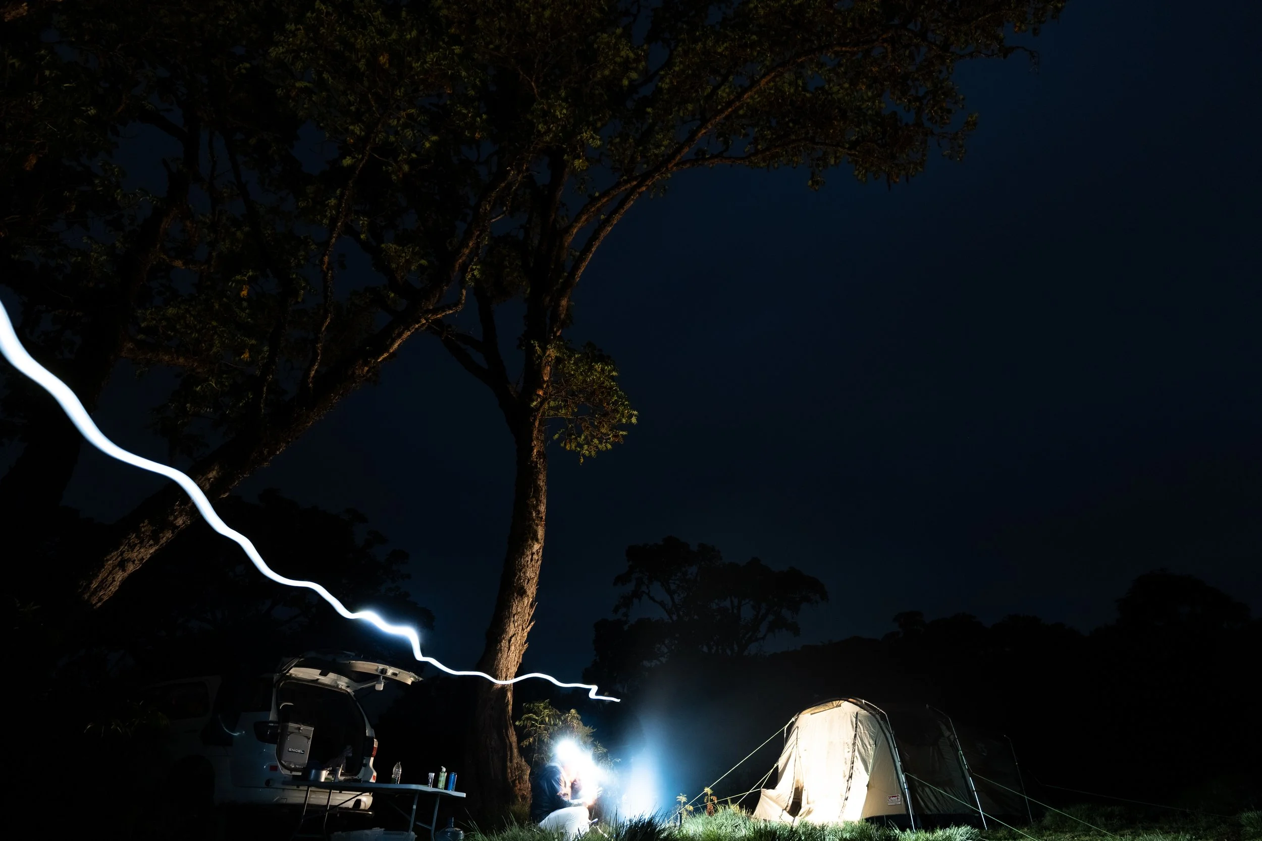 Nighttime camping scene with tents, a large tree, and a person sitting near a campfire with light and shadows.