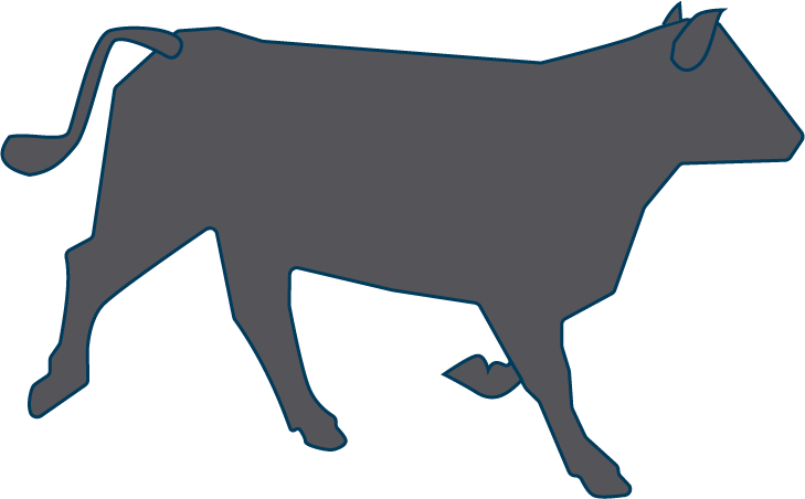 silhouette of a cow