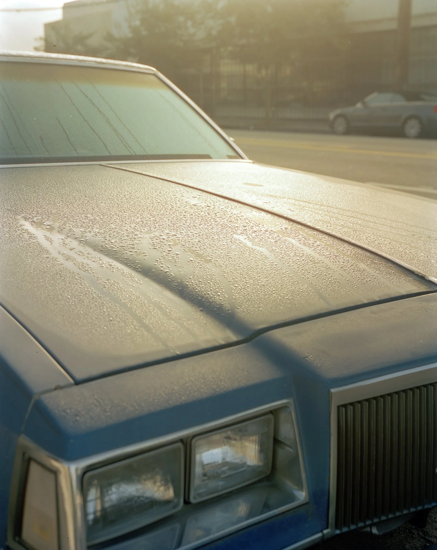 2025_Roll11_10_CritJPEG 2.jpg